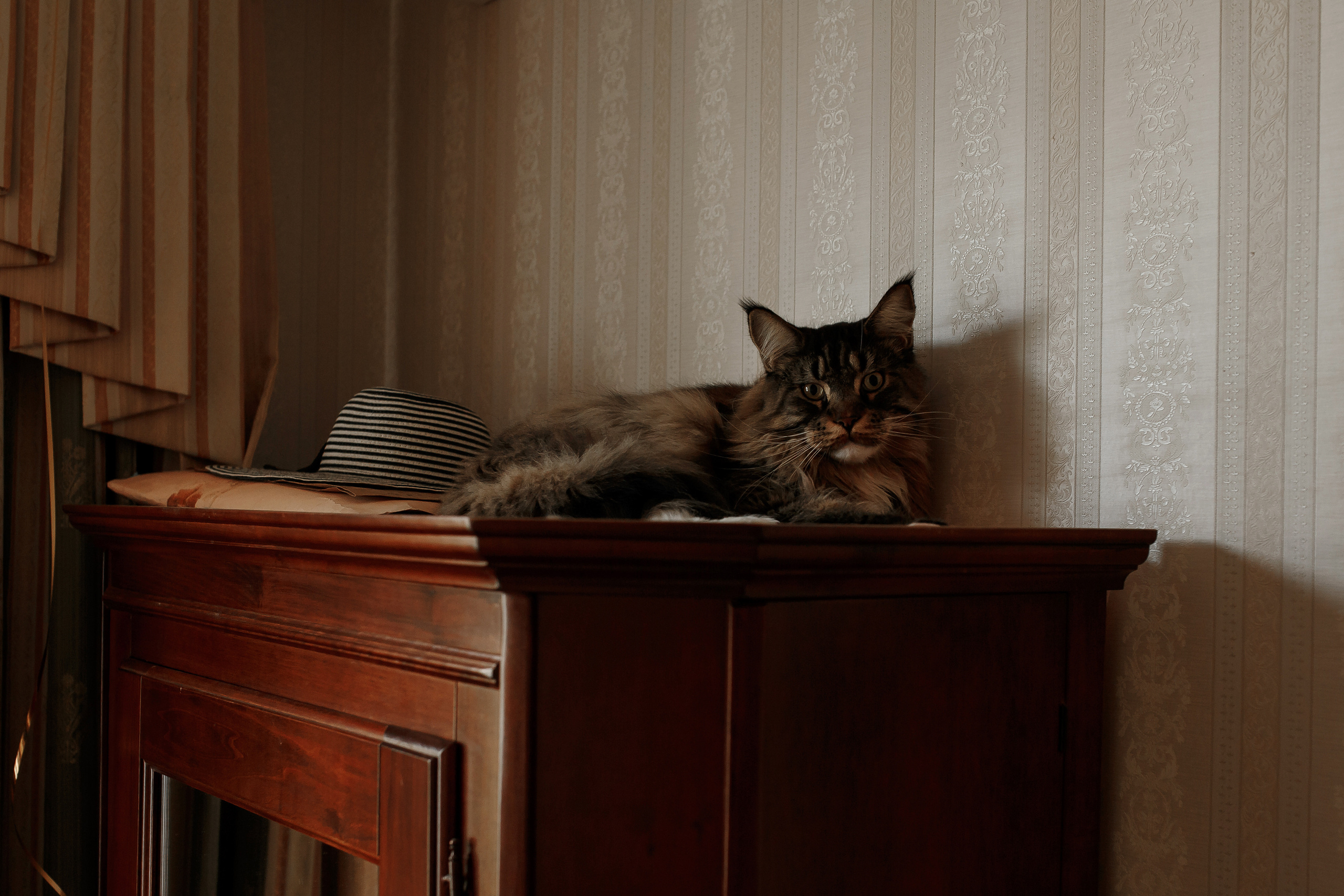 Wedding day Николай и Аня. Свадебный фотограф Колесников Антон