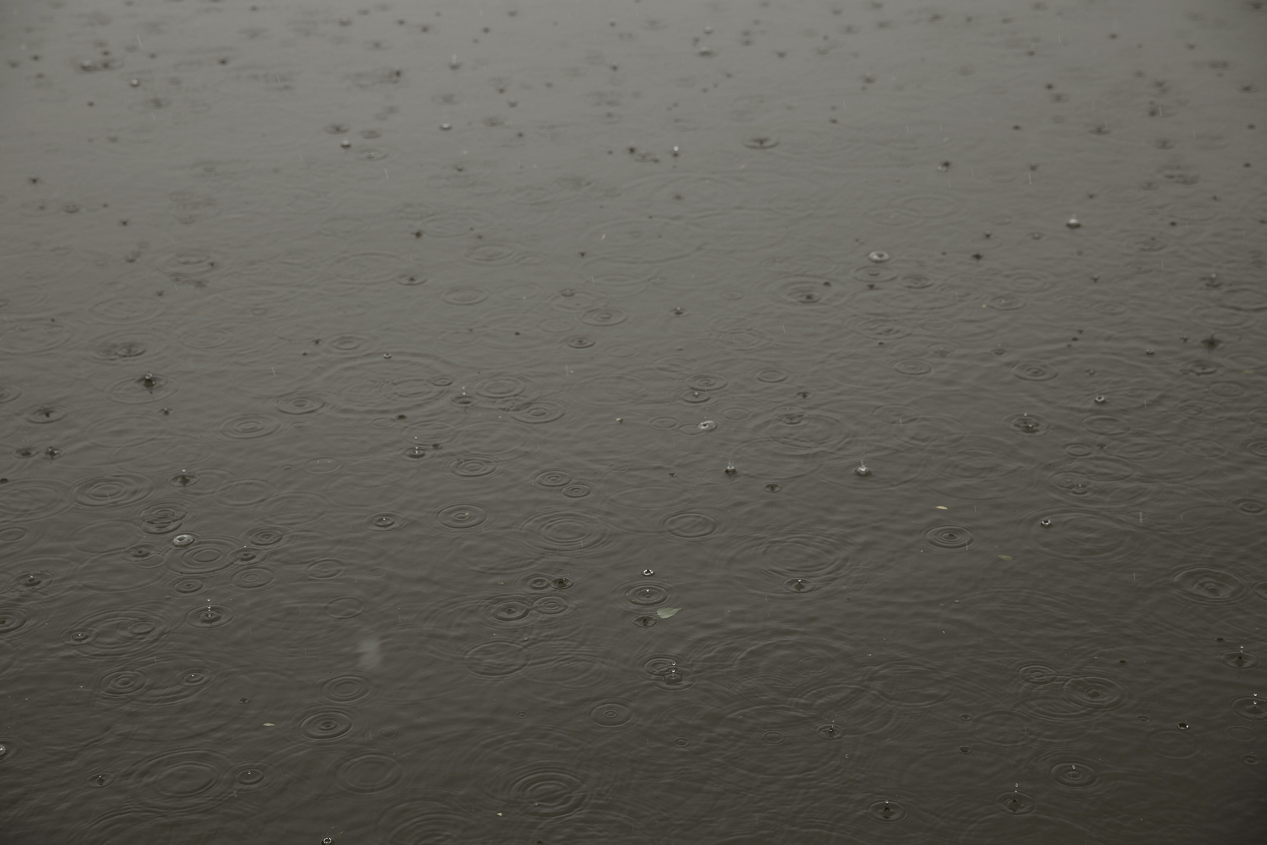 Wedding day Николай и Аня. Свадебный фотограф Колесников Антон