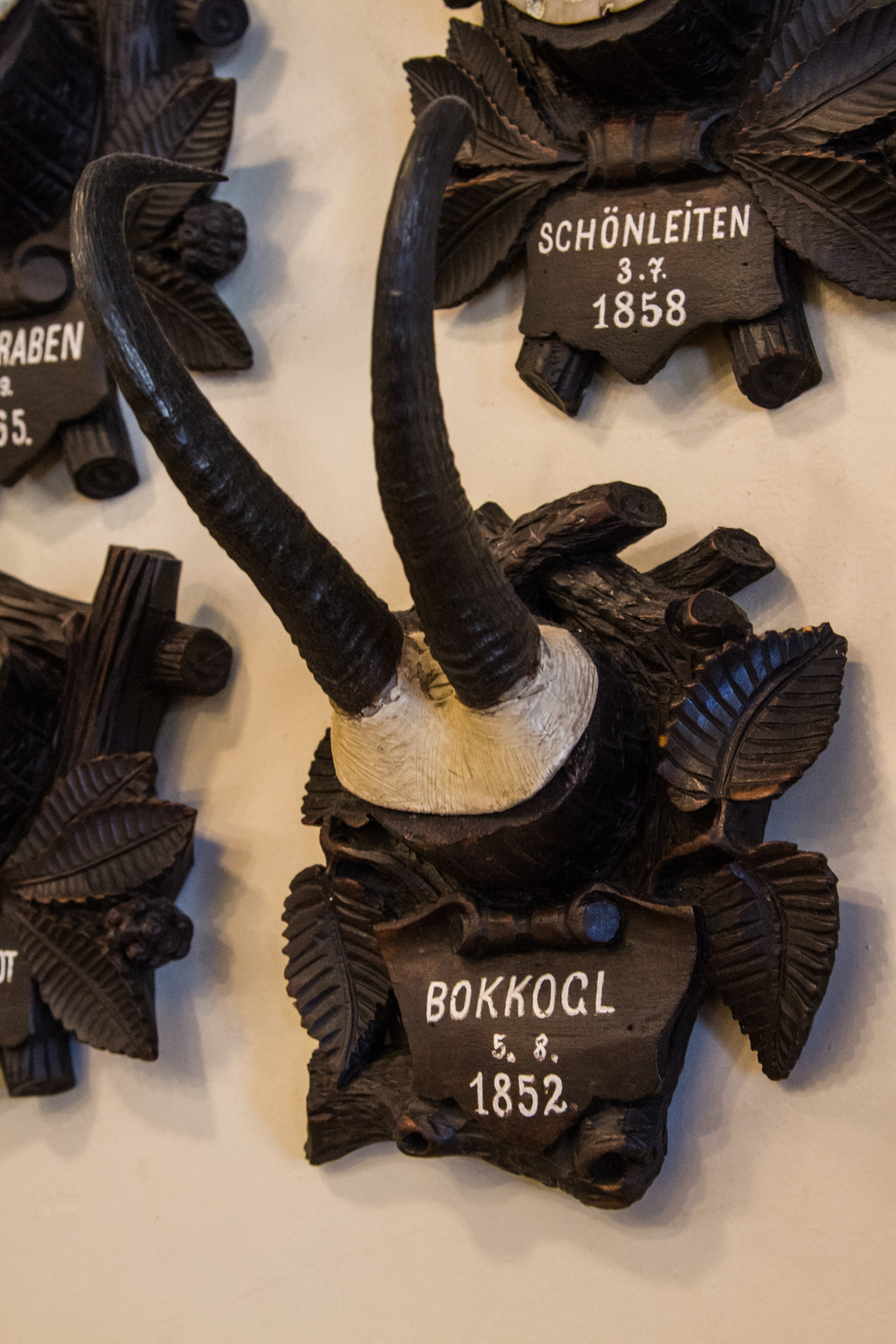 Австрия: Бад-Ишль. Дарья Письменюк / Darya Leitstern — фотограф, музыкант, журналист, путешественник