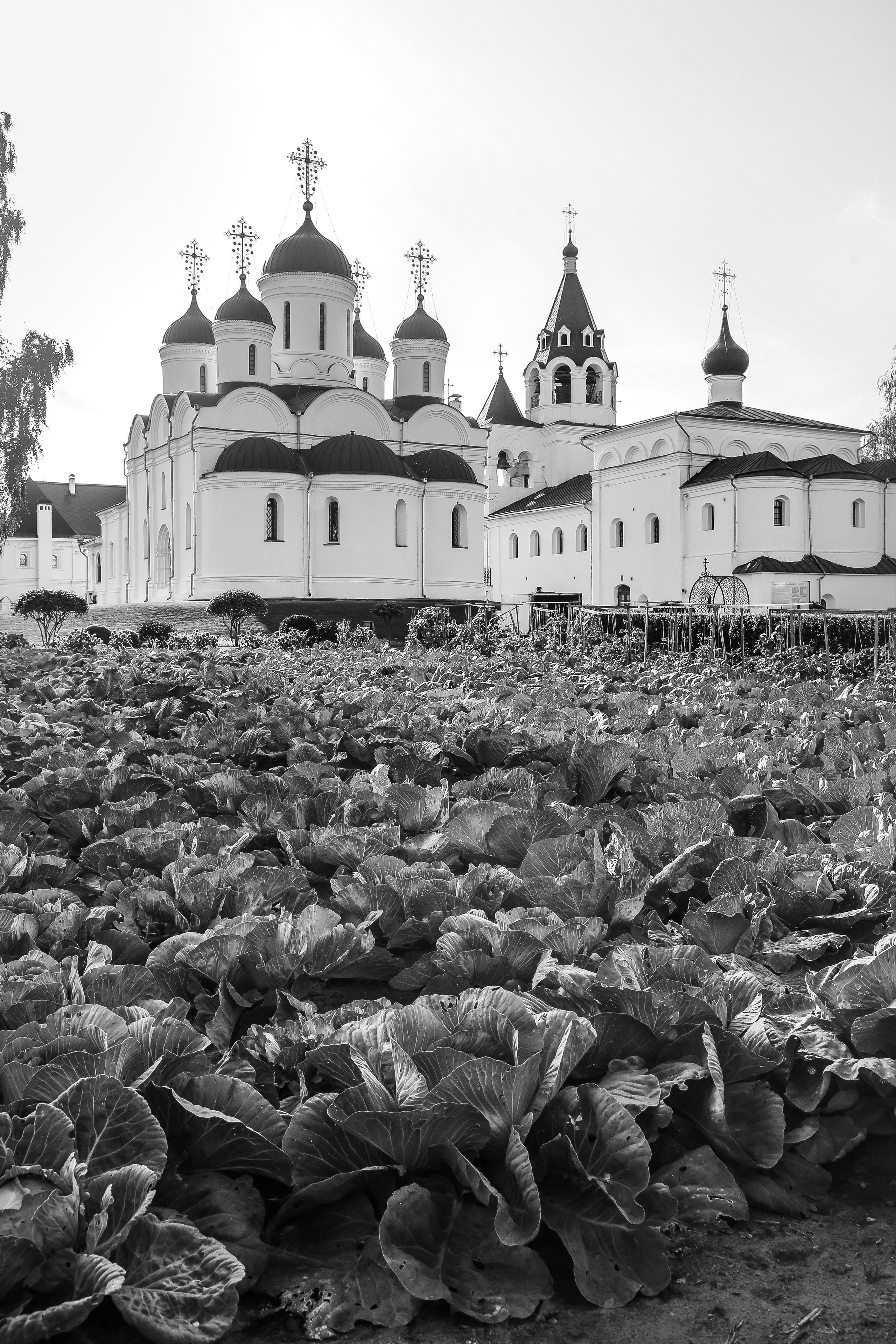 Муром. Дарья Письменюк / Darya Leitstern — фотограф, музыкант, журналист, путешественник