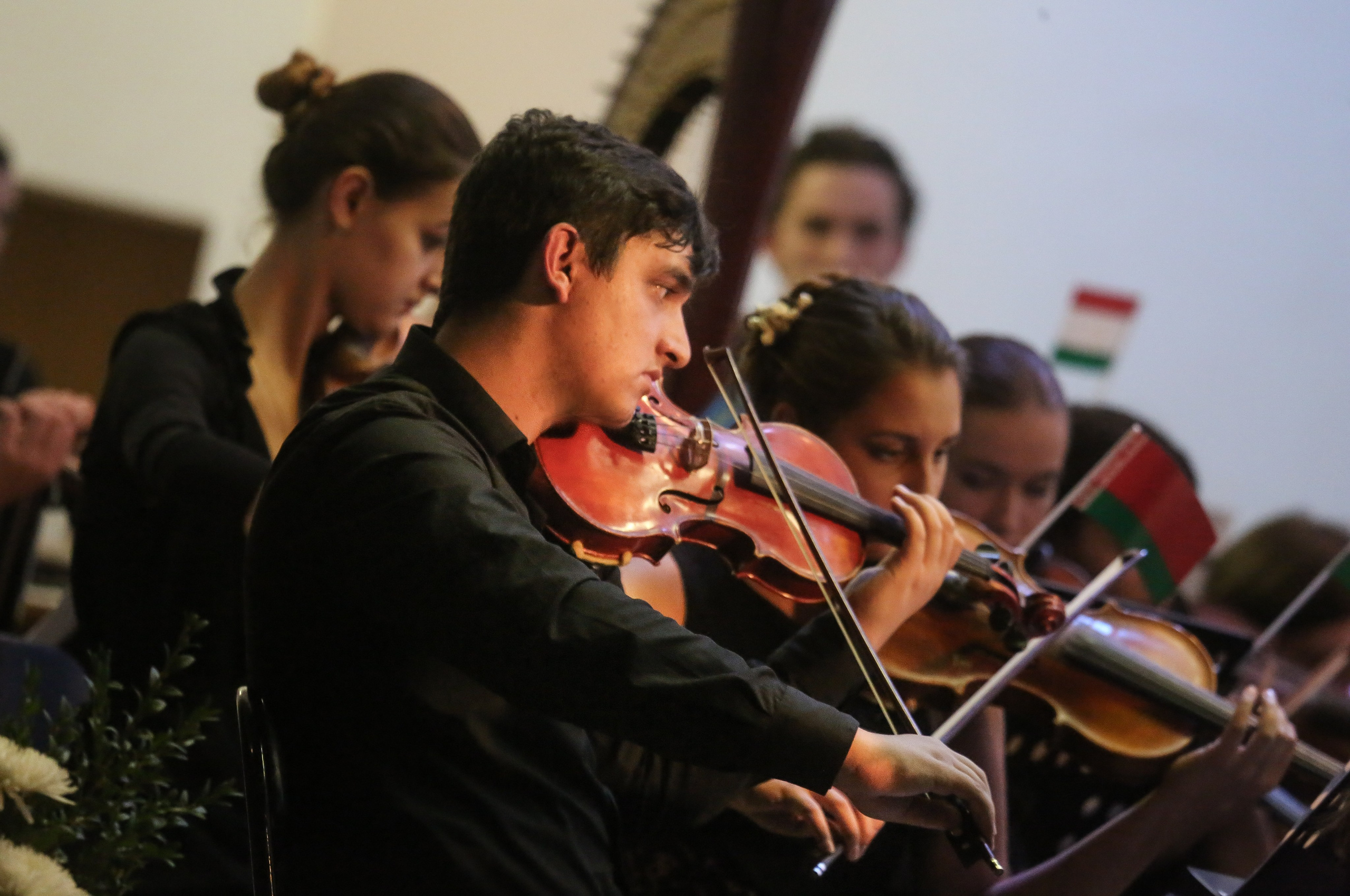 Музыка без границ. Концерт Молодежного симфонического оркестра СНГ в Минске. Дарья Письменюк / Darya Leitstern — фотограф, музыкант, журналист, путешественник