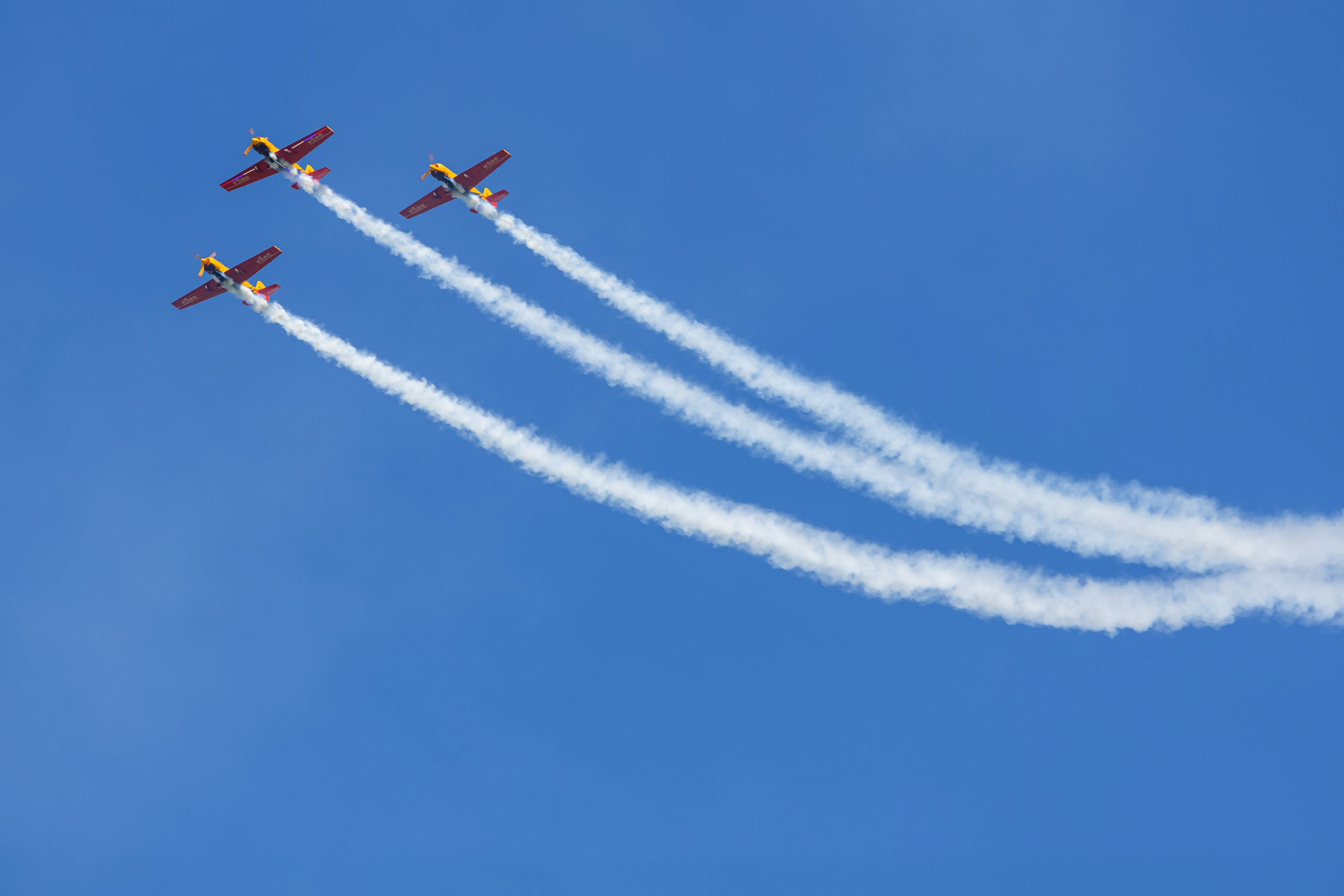 Крылья Пармы 2025 г. KATERINA VINOKUROVA ФОТОГРАФ ПЕРМЬ