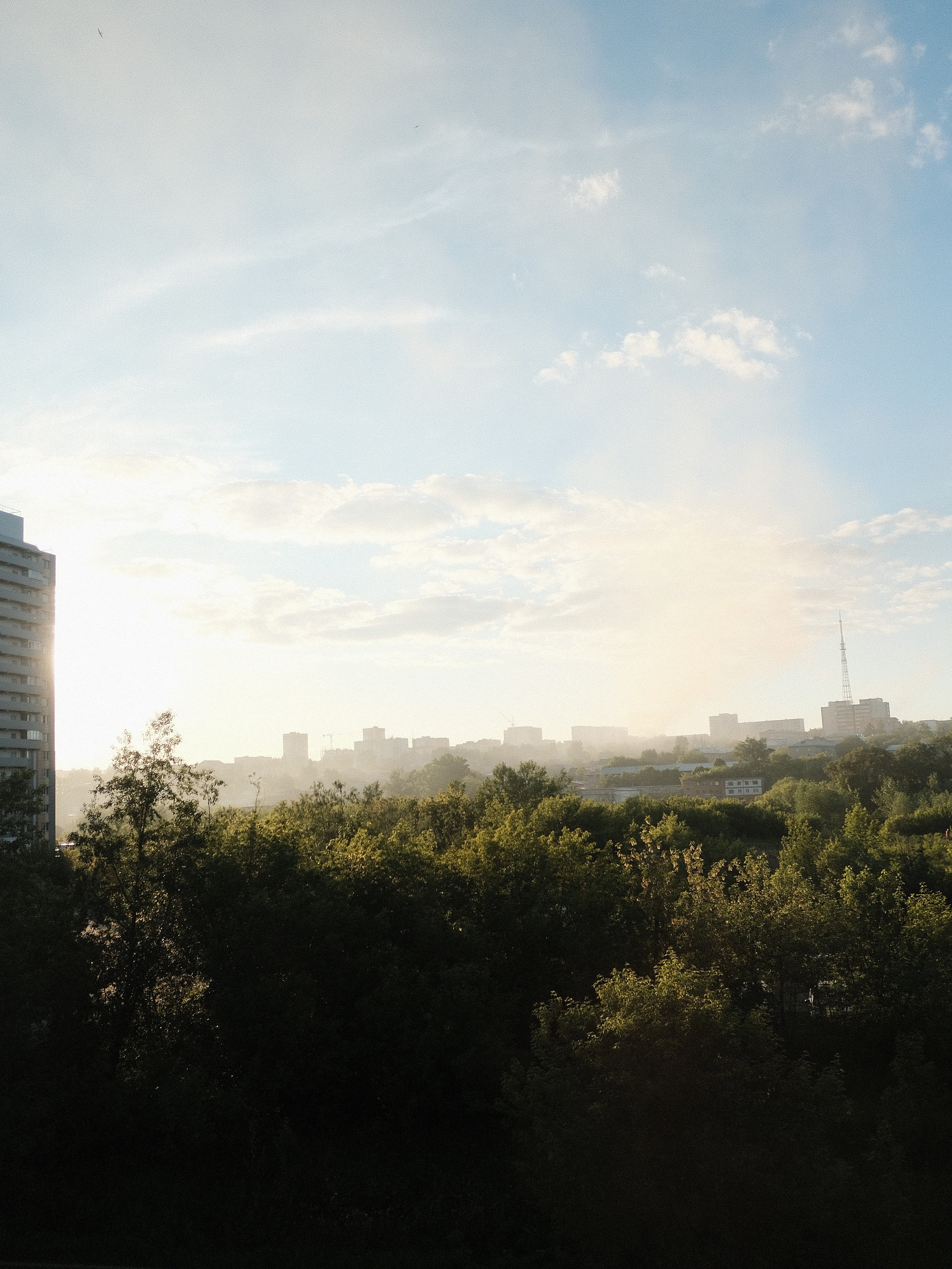 Наблюдения. Семейный фотограф в Новосибирске Артём Кузнецов