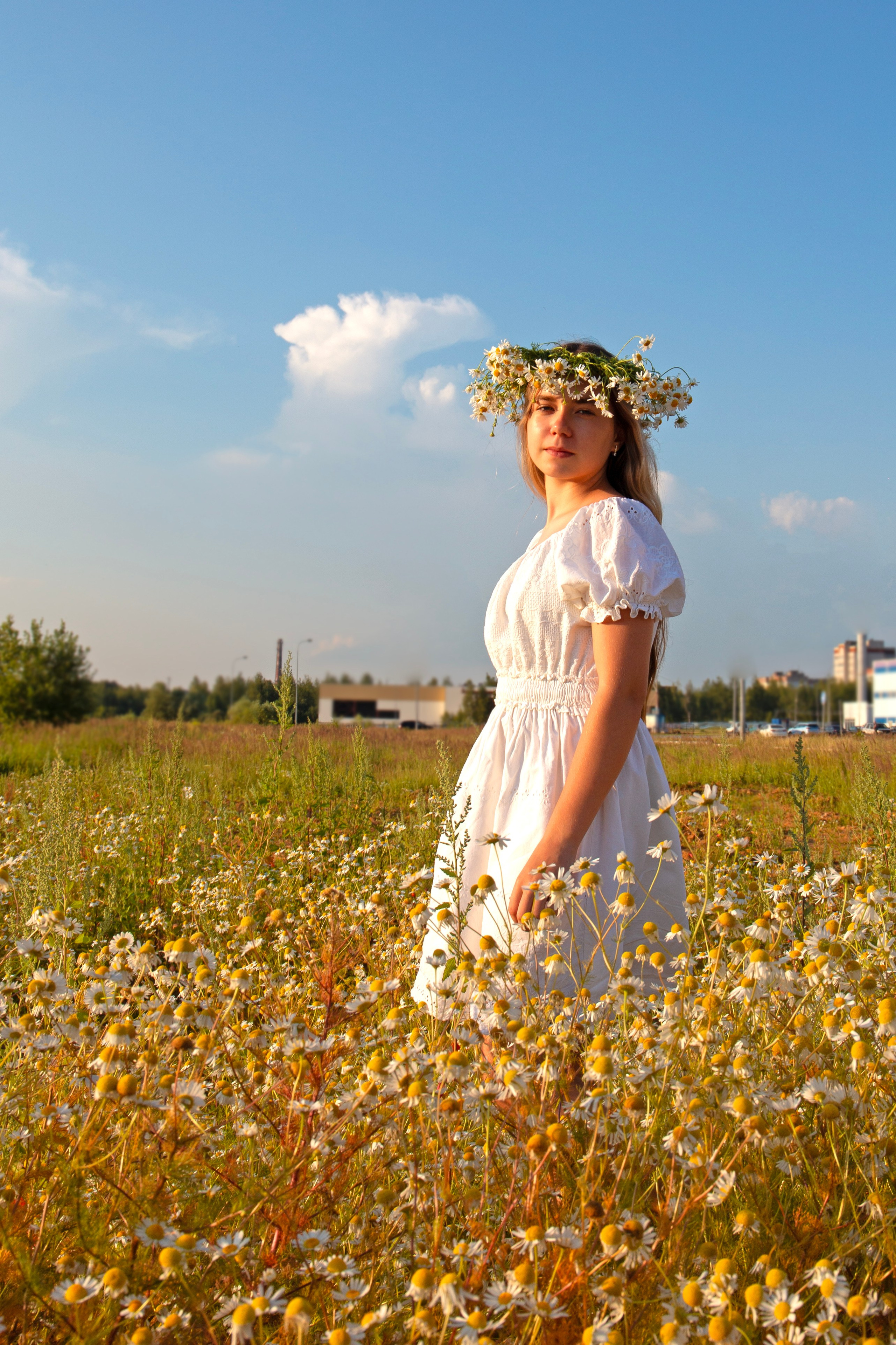 Фотосессия в ромашках