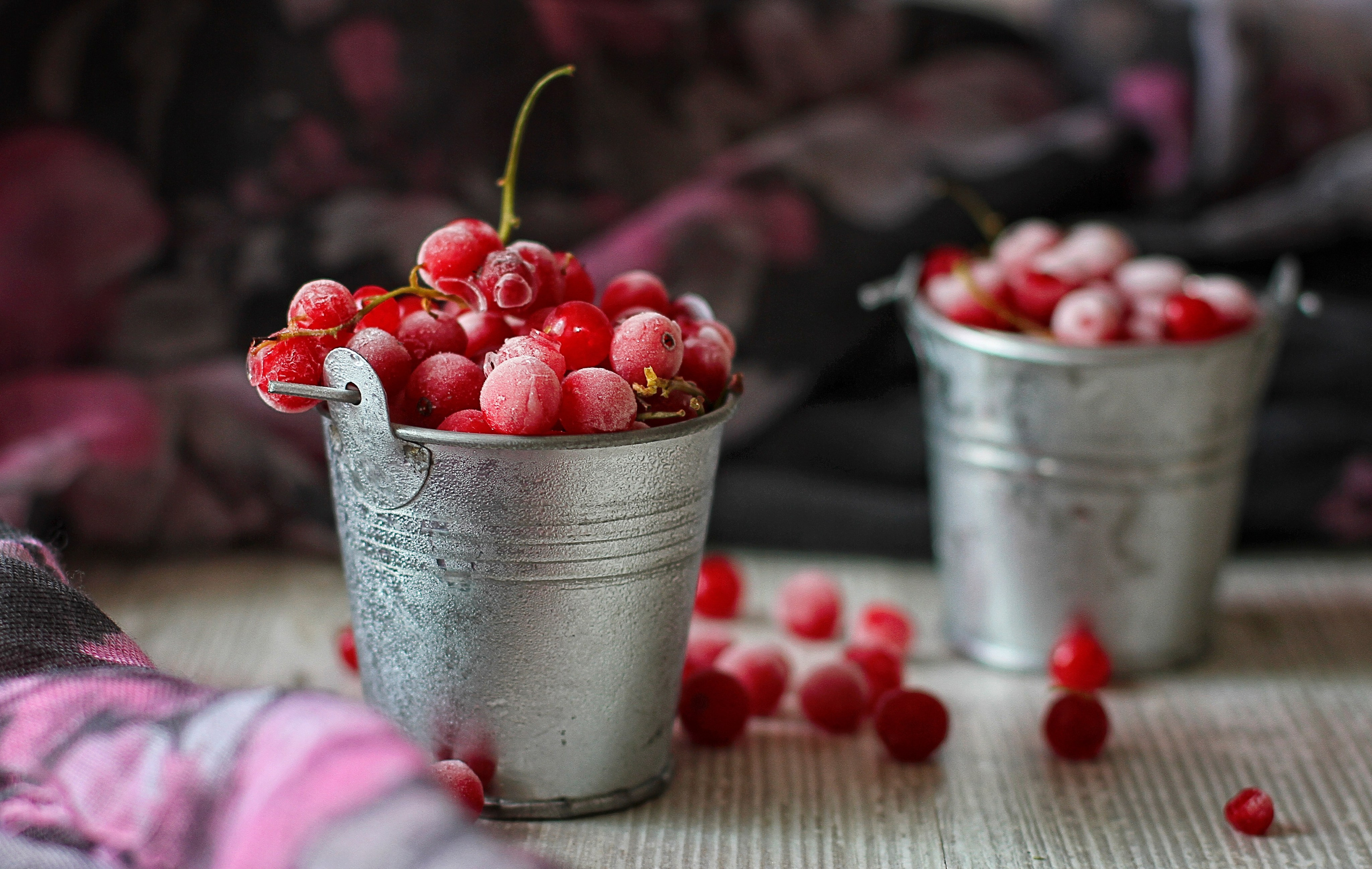 Фуд, предметка. Таша Тайсон — фотограф красивых людей