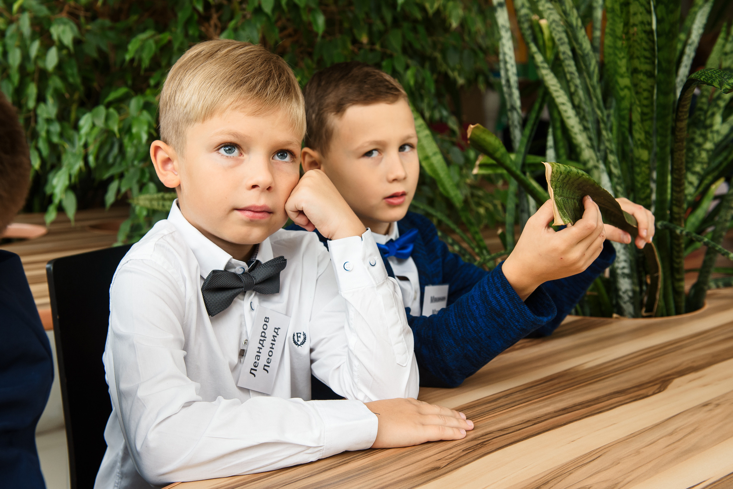 1 раз в 1 класс. Wedding and family photographer USA