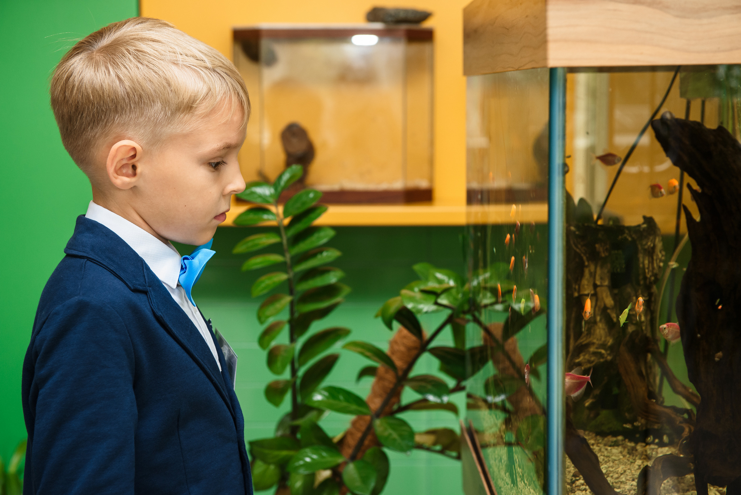 1 раз в 1 класс. Wedding and family photographer USA