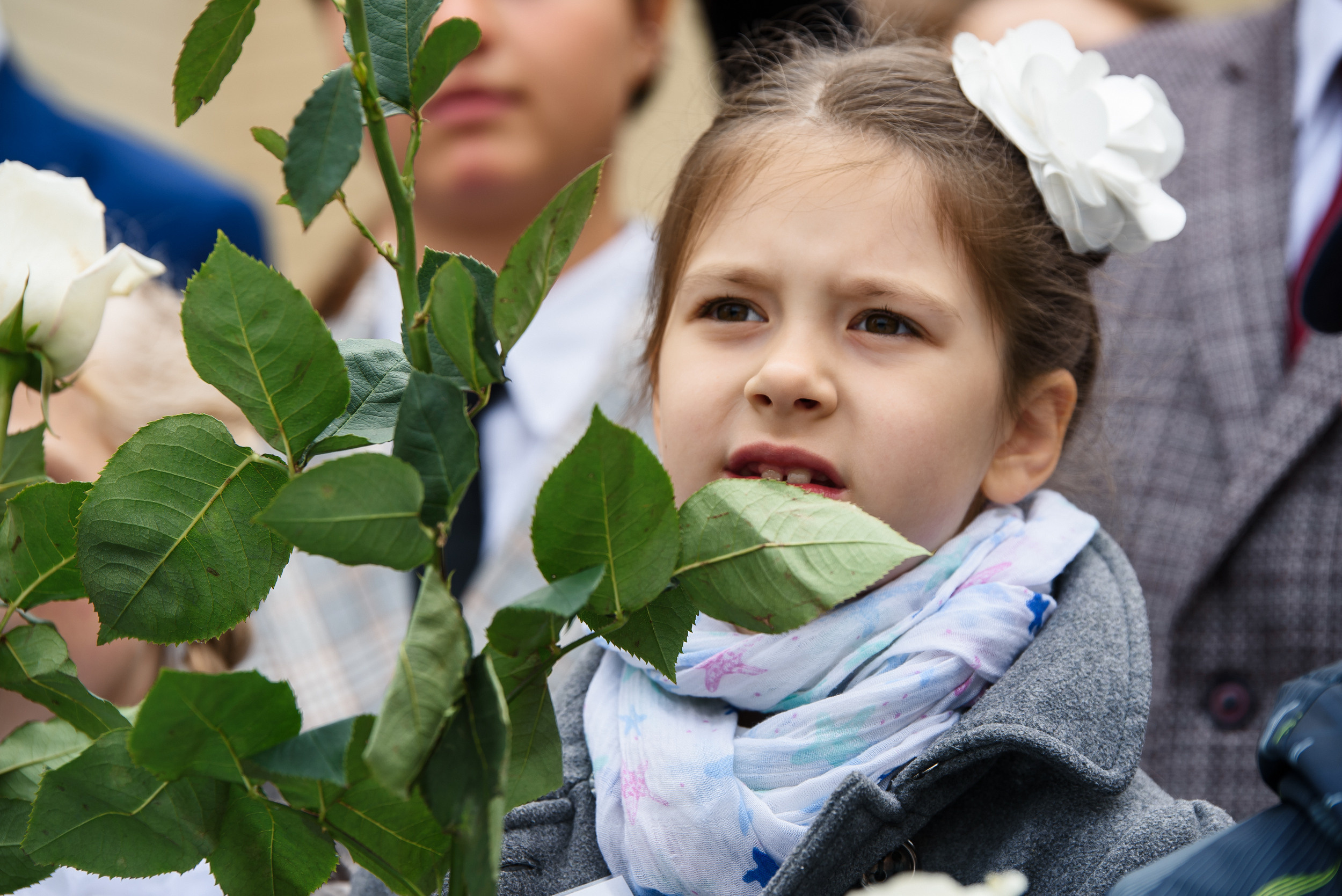 1 раз в 1 класс. Wedding and family photographer USA