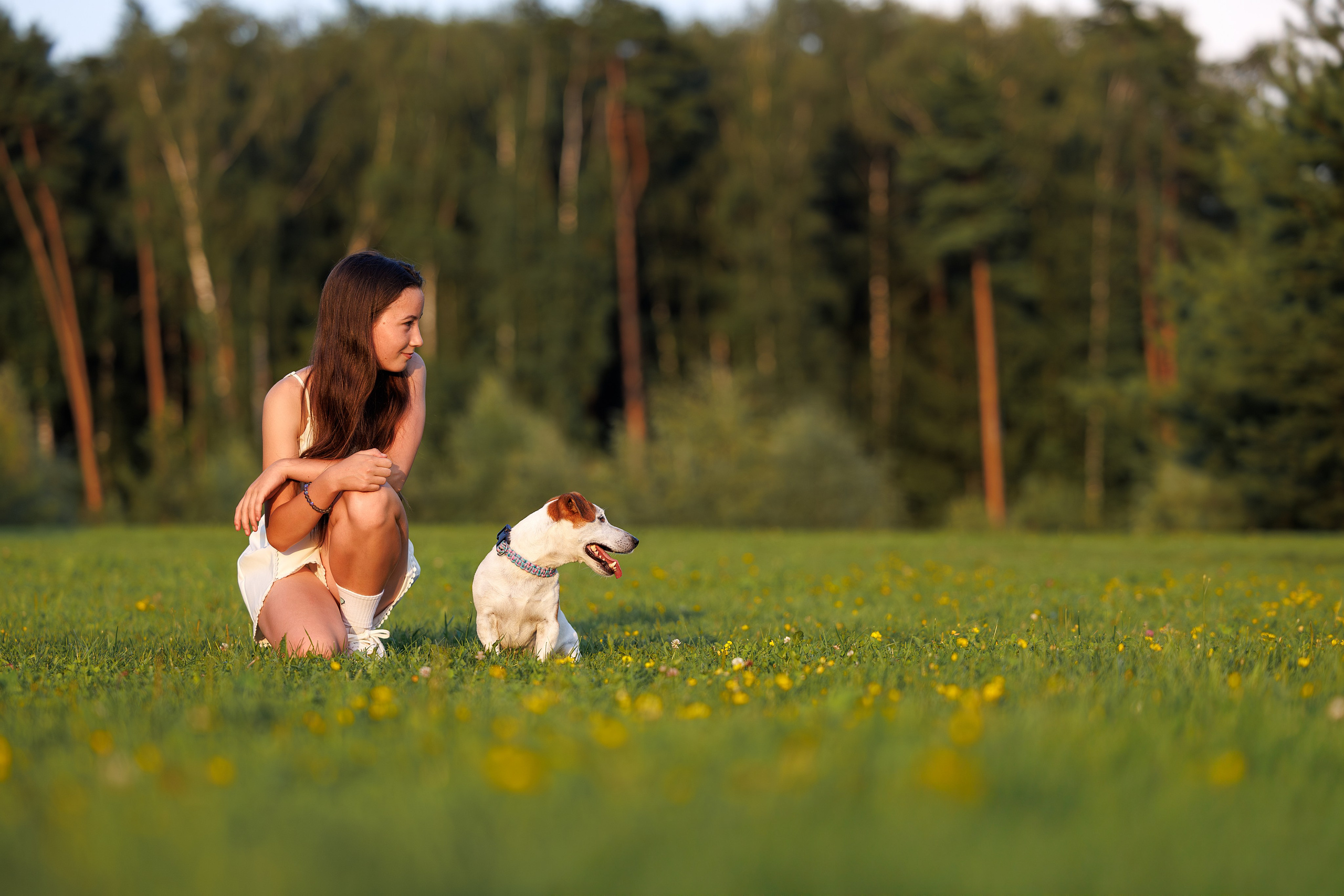 Юлиана и Риф (в обработке). Фотограф Анималист в Москве Анастасия Жучкова