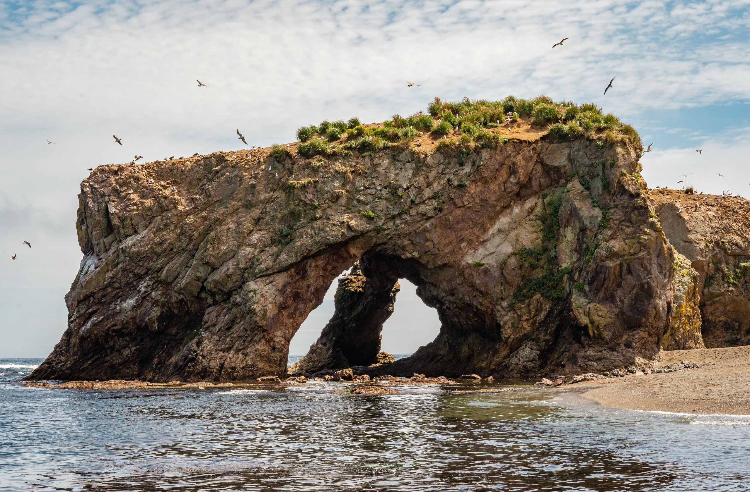Сахалин. Семейный фотограф Варвара Сорока в городе Москве