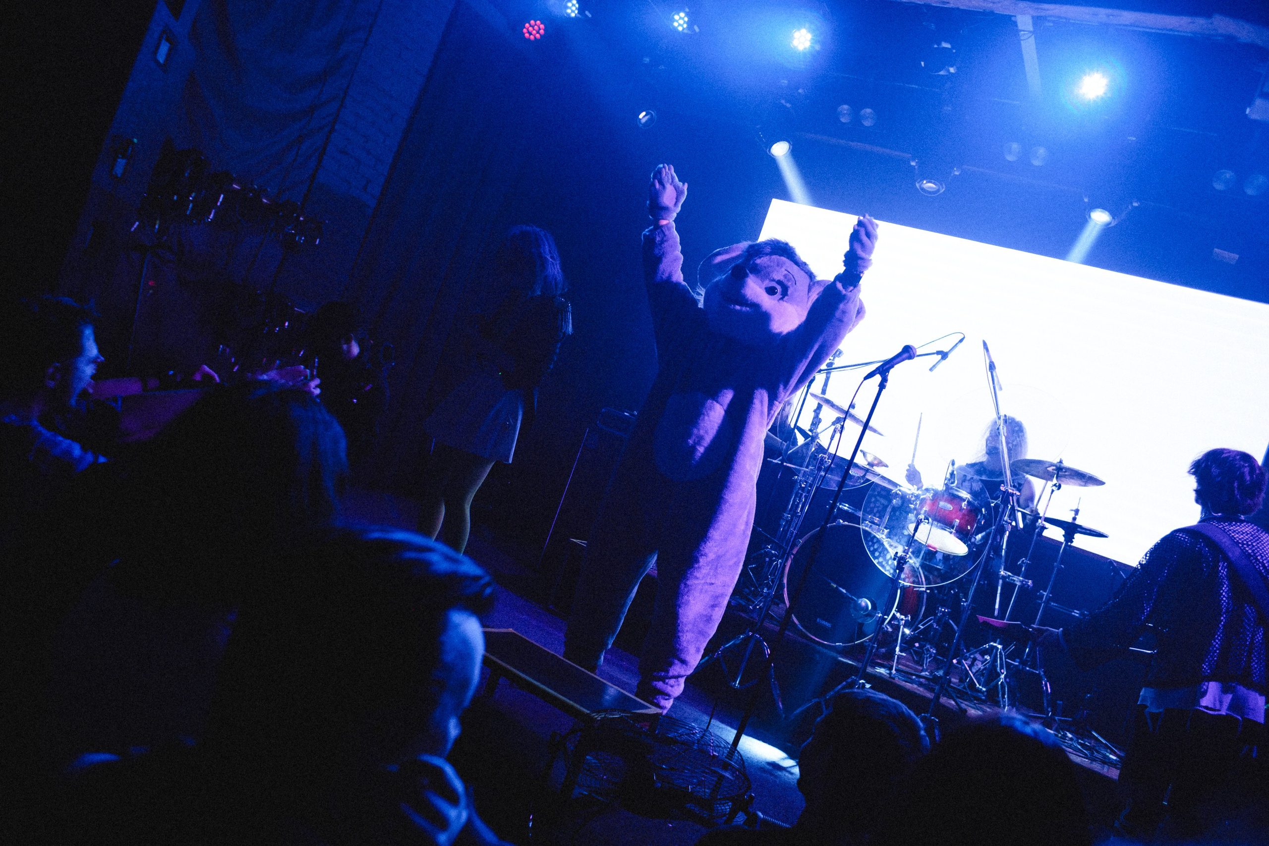 Ravdina|Сердце. Концертный фотограф в Санкт-Петербурге