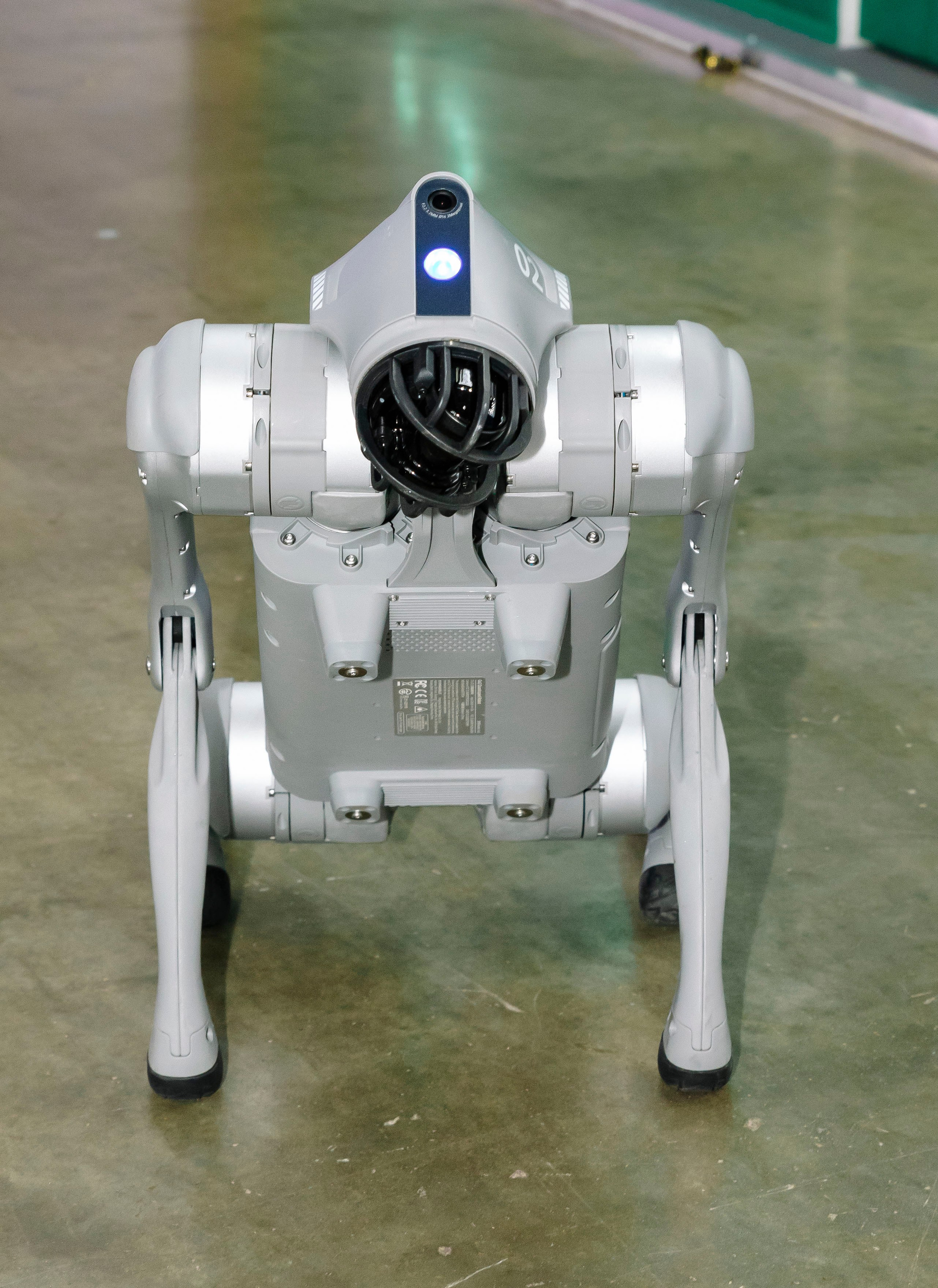 Стоматологическая выставка Dental Salon 2026. Профессиональный фотограф в Москве | Заказать фотосессию и съемку