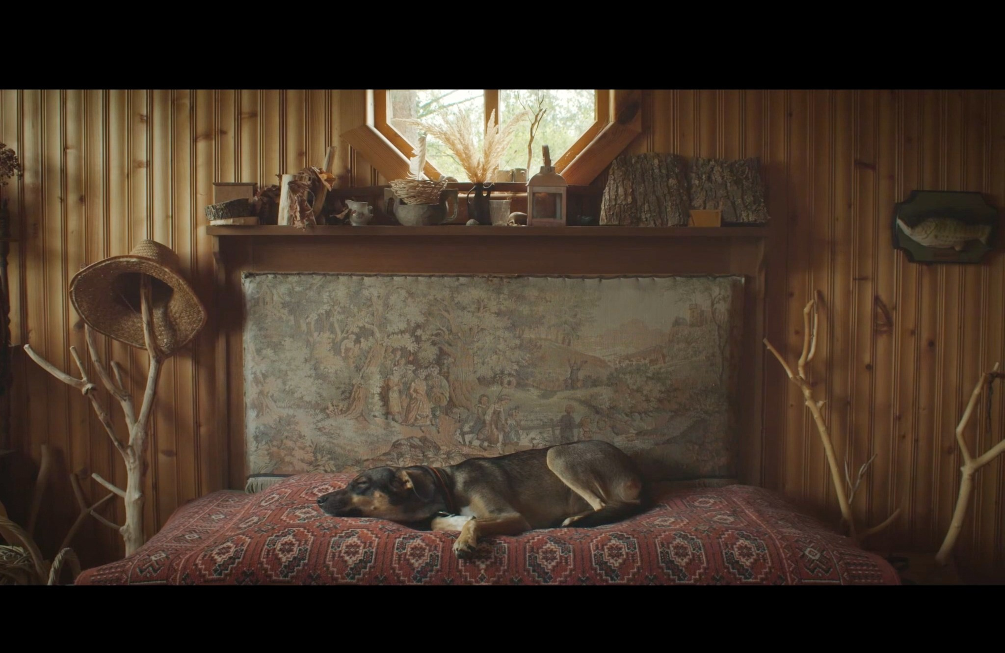 BIRTHDAY / ДЕНЬ РОЖДЕНИЯ. DOP Yulia Popova