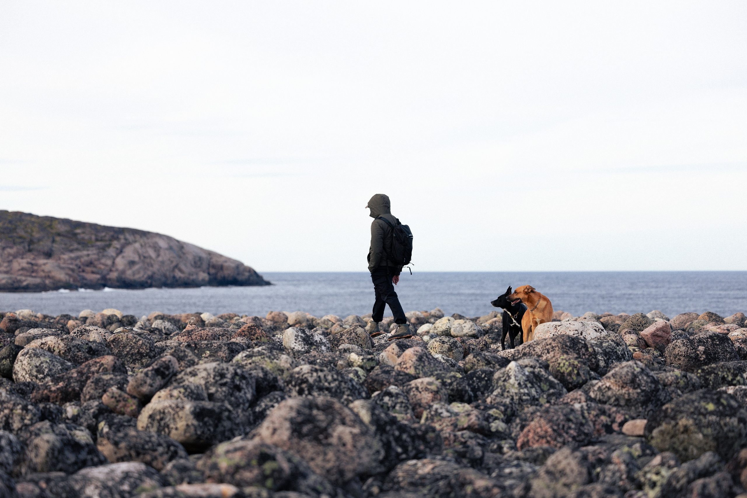 Кольский. Фотограф и видеограф анималист Аганина Дарья