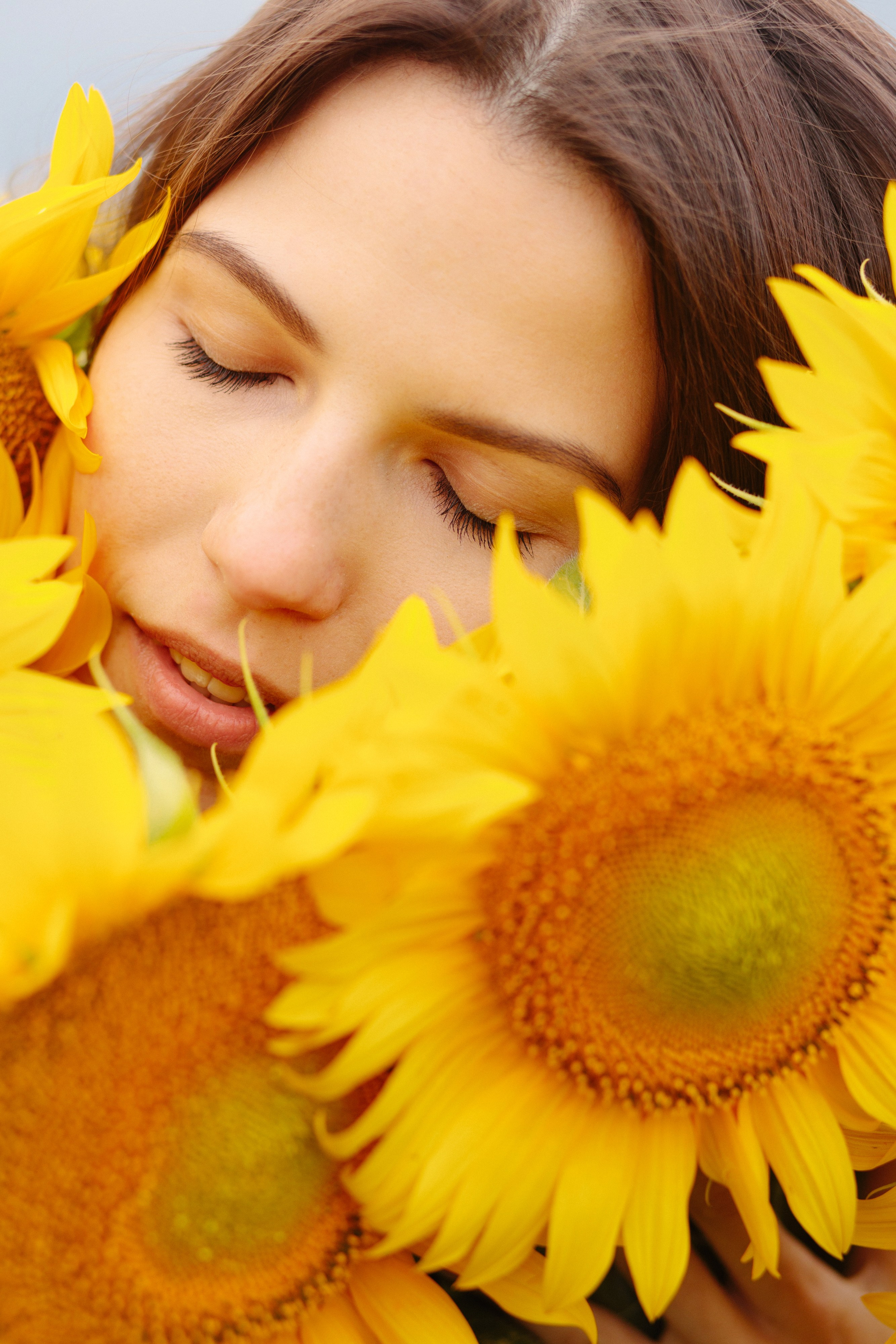 Подсолнухи. Dima Lemeshevsky