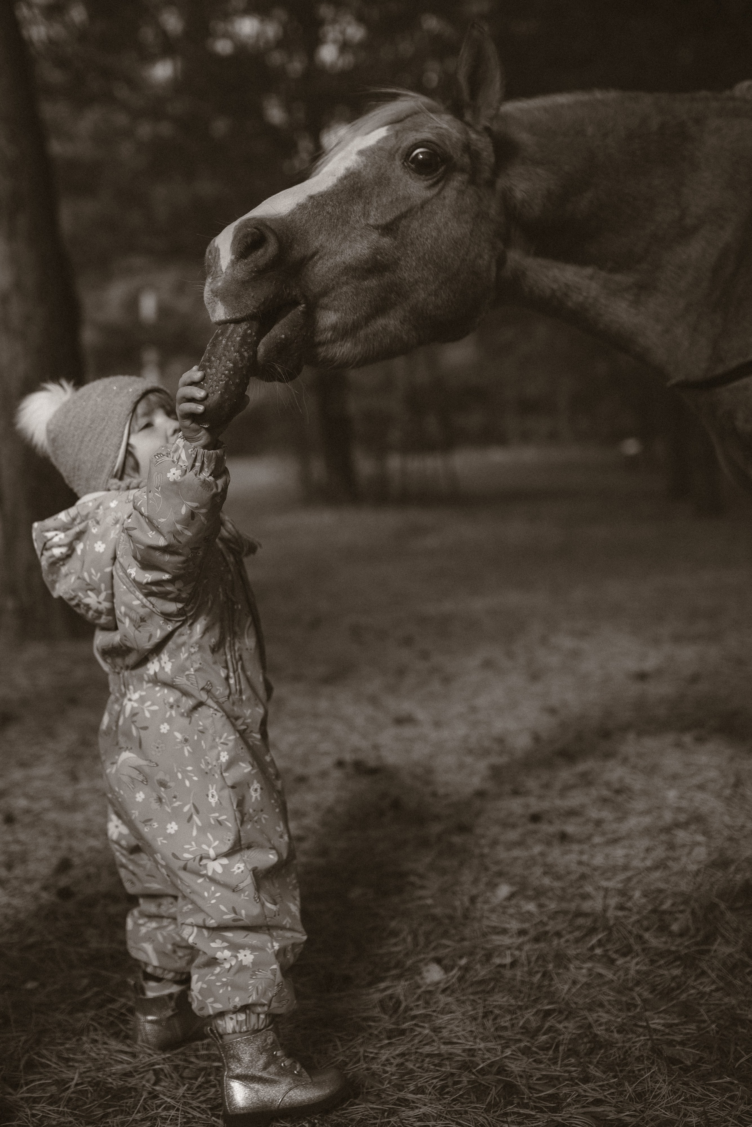 Фотосессия для Иры. Семейная фотосессия в Новосибирске от фотографа Ольги Коваль