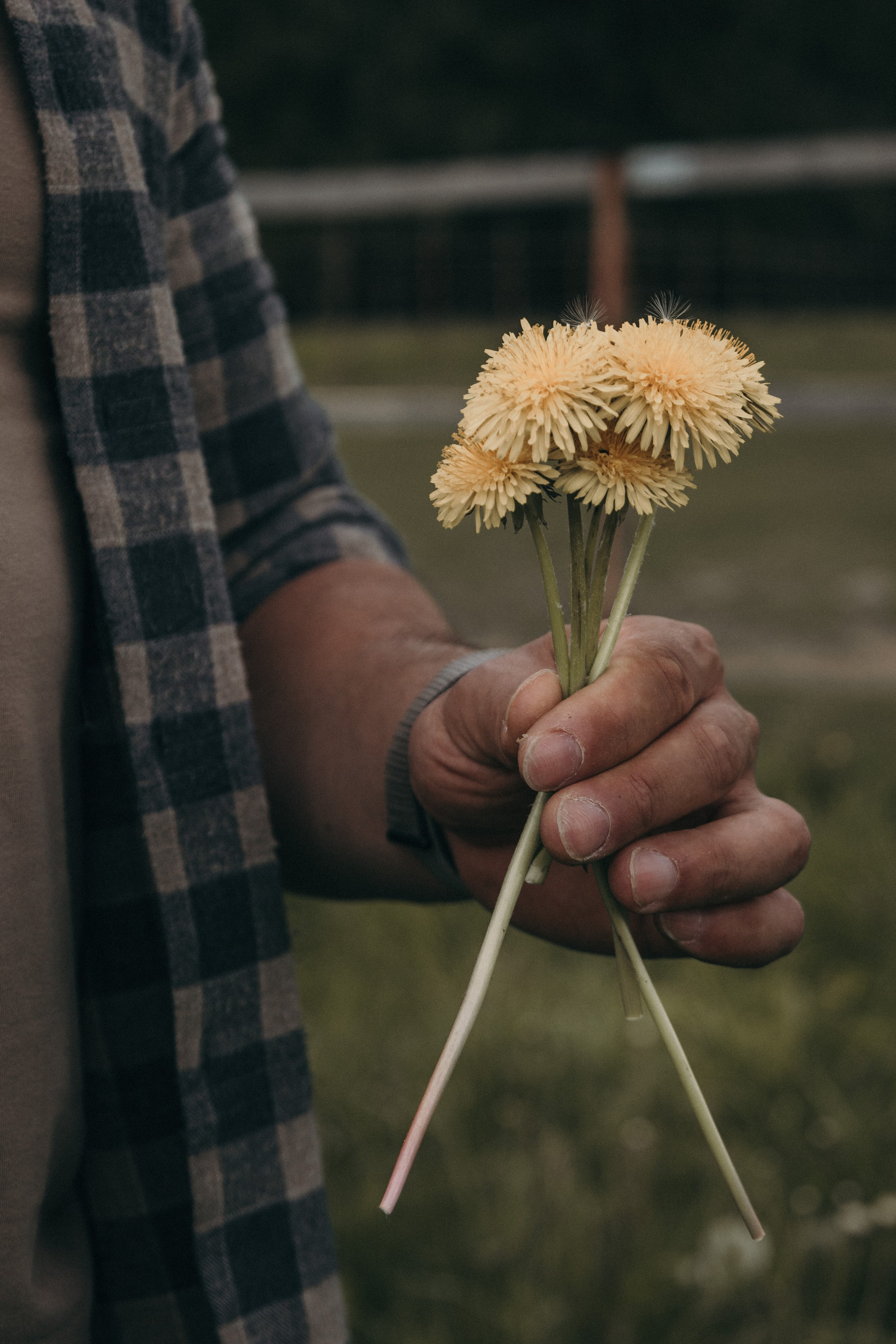 Фотосессия с лошадками Подмосковье. Семейный фотограф в Москве, Щелково, Фрязино _ Виктория Степанова
