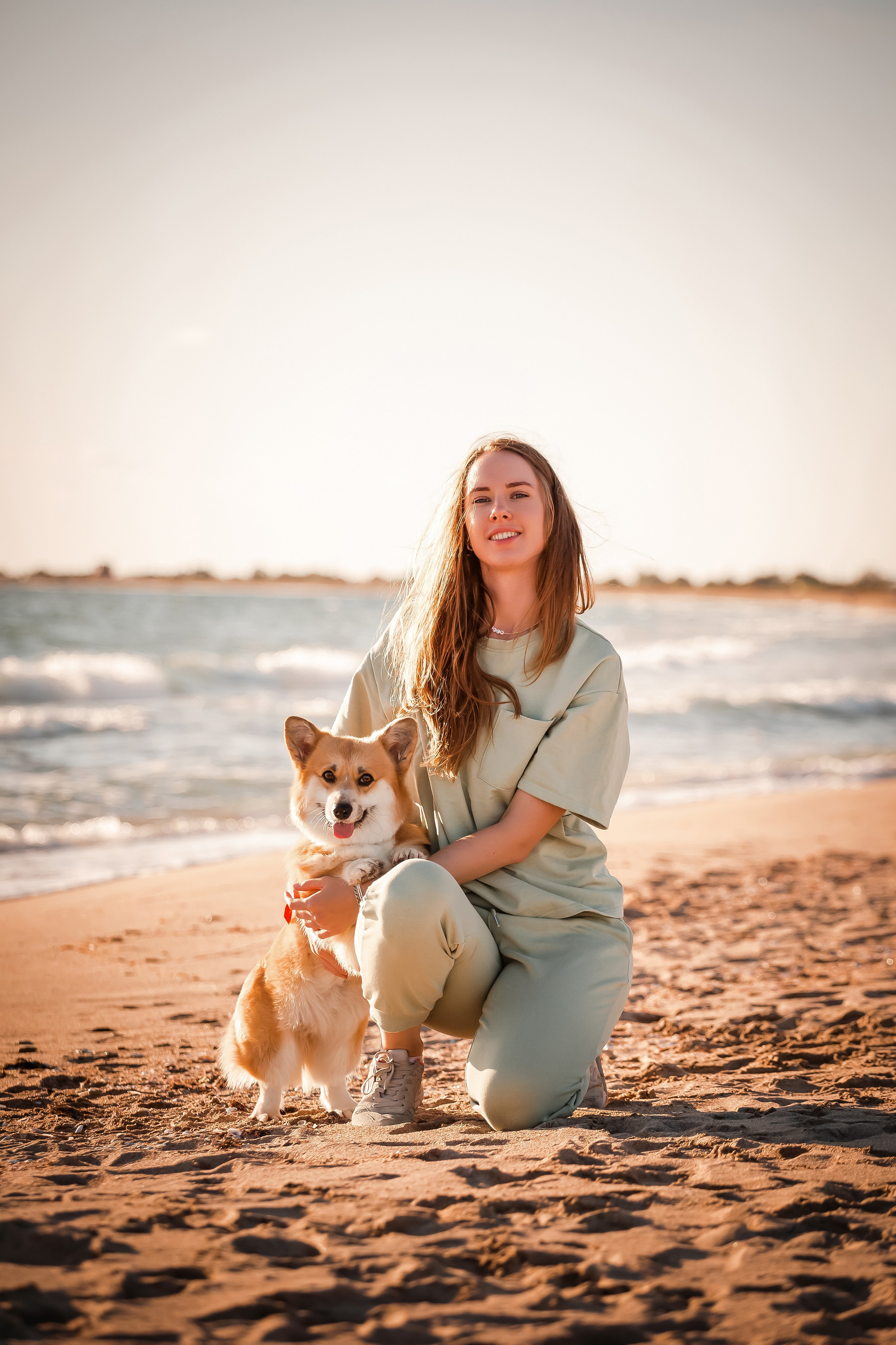 Бордер-колли и корги на пляже в Крыму. Фотограф-анималист в Краснодаре Маша Мельникова