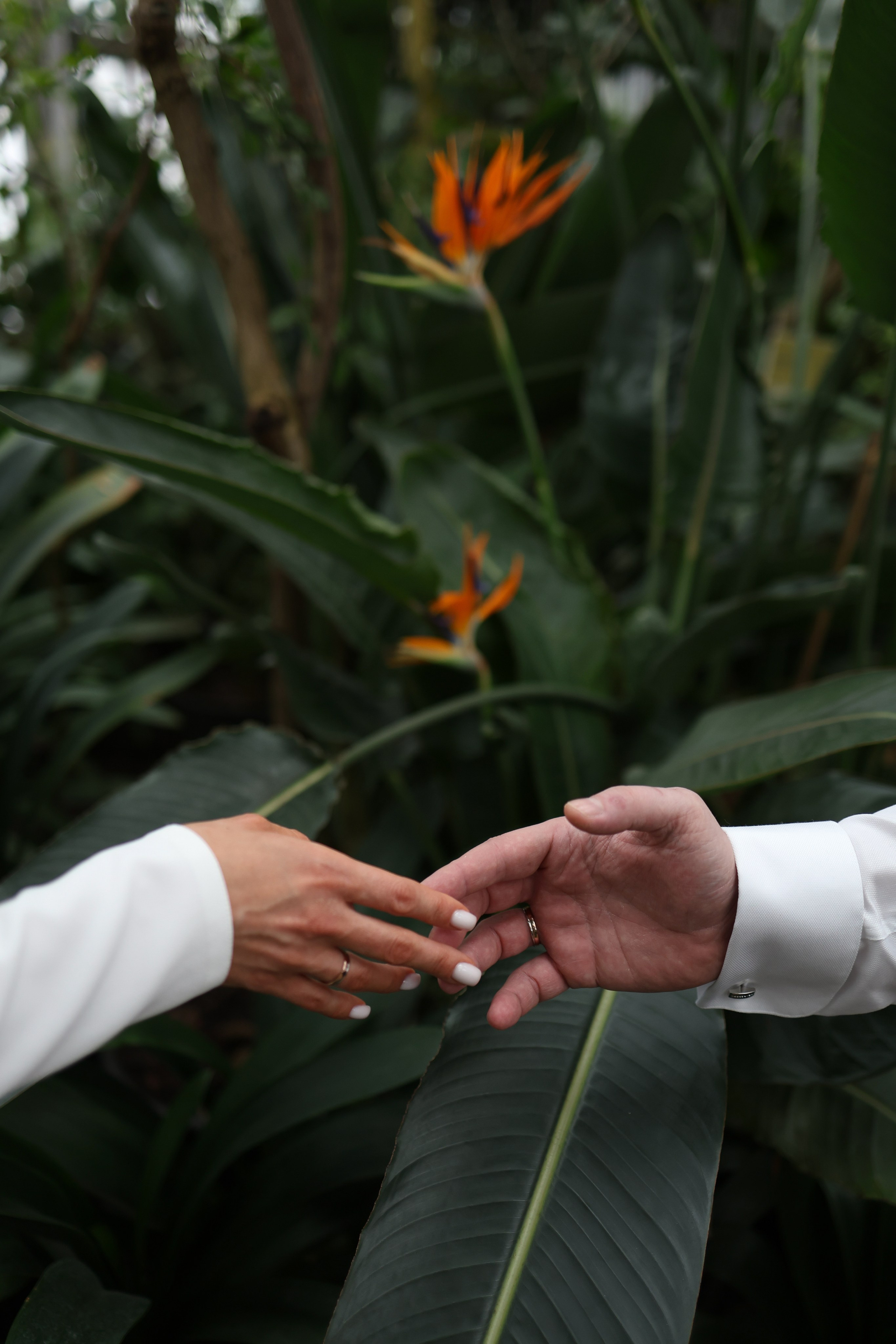 Алексей и Ксения. Фотограф и видеограф в Москве Полина Абраменкова