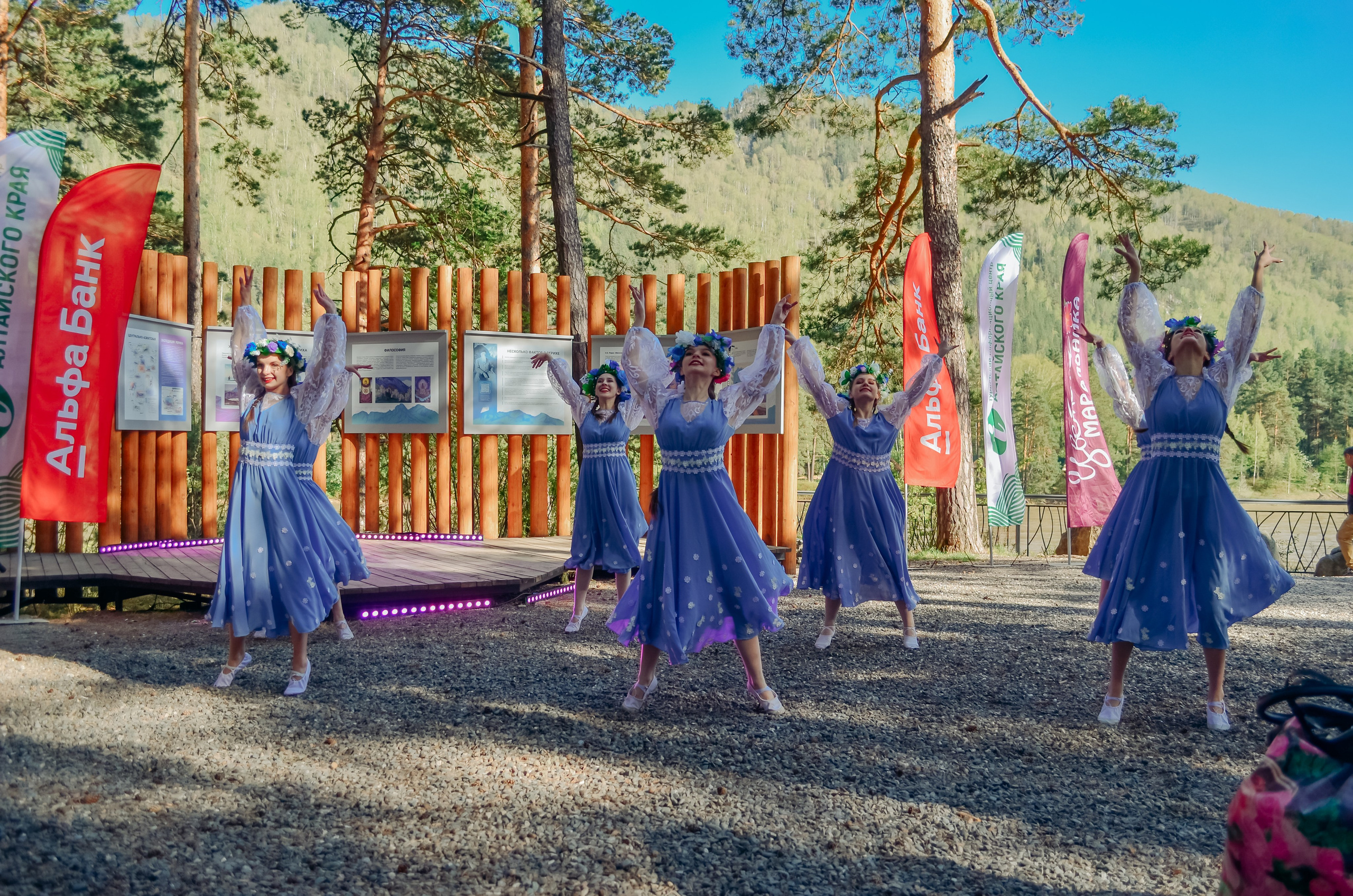 Фестиваль «Цветение Маральника на Алтае 2025». Фоторепортаж. Денисова Аля — фотограф для парных съемок и индивидуальных историй в Барнауле