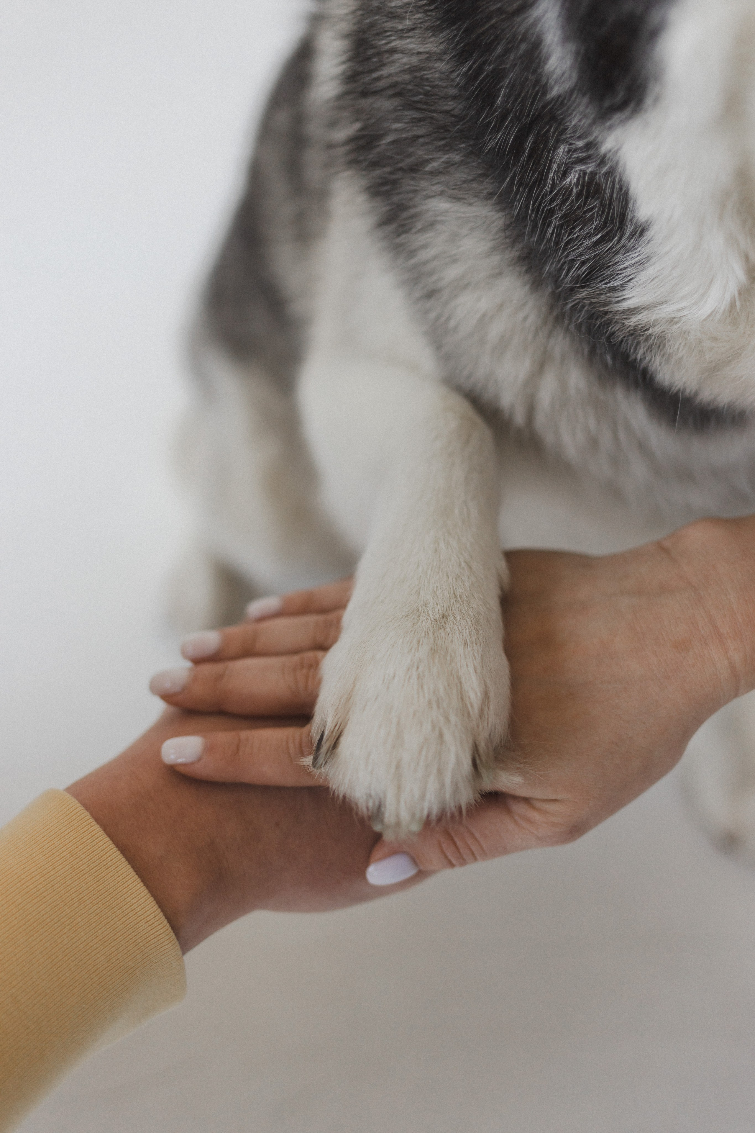 История одной семьи. Семейный фотограф в Москве