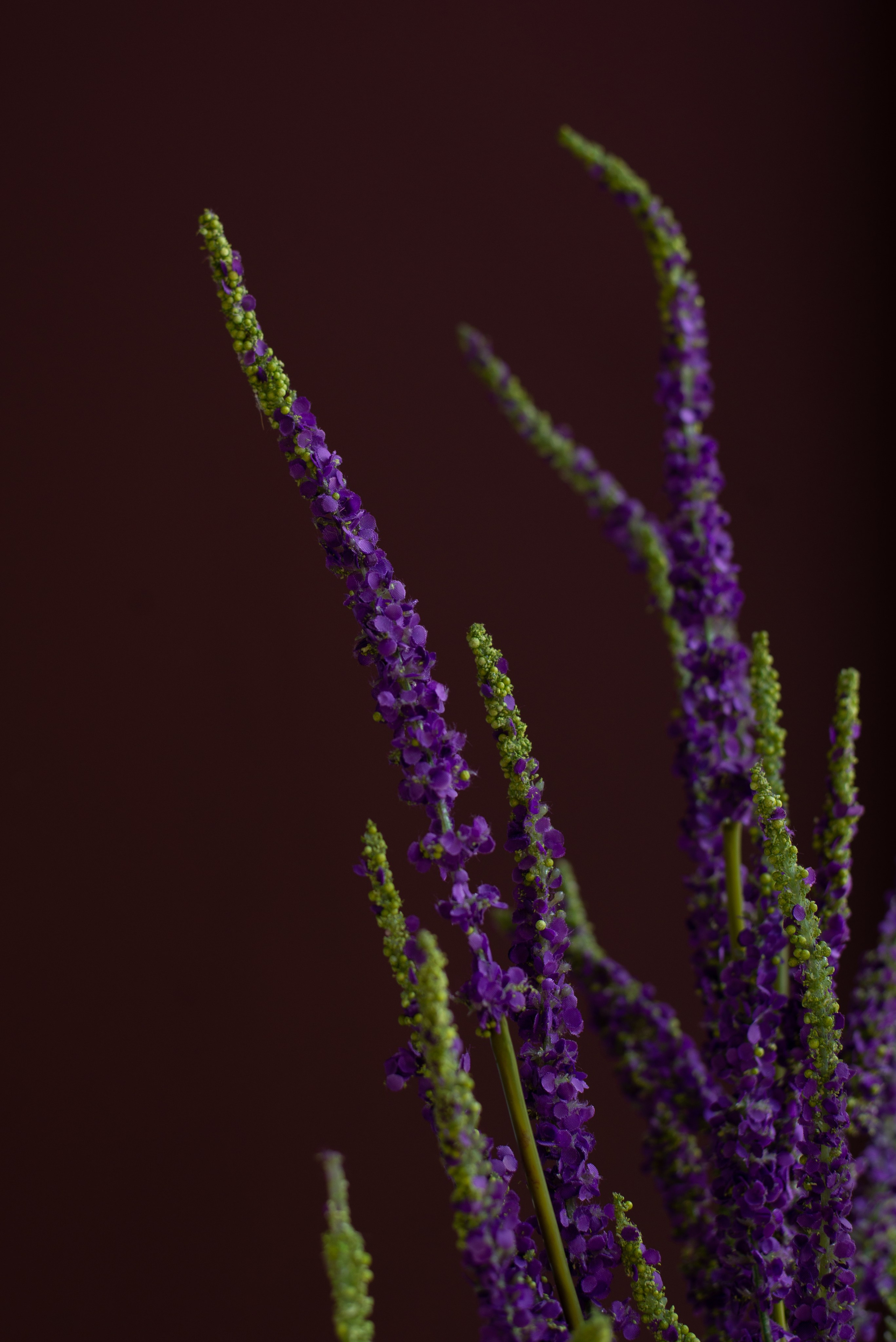 Garden Street. Портретный фотограф Ксения Люндовская