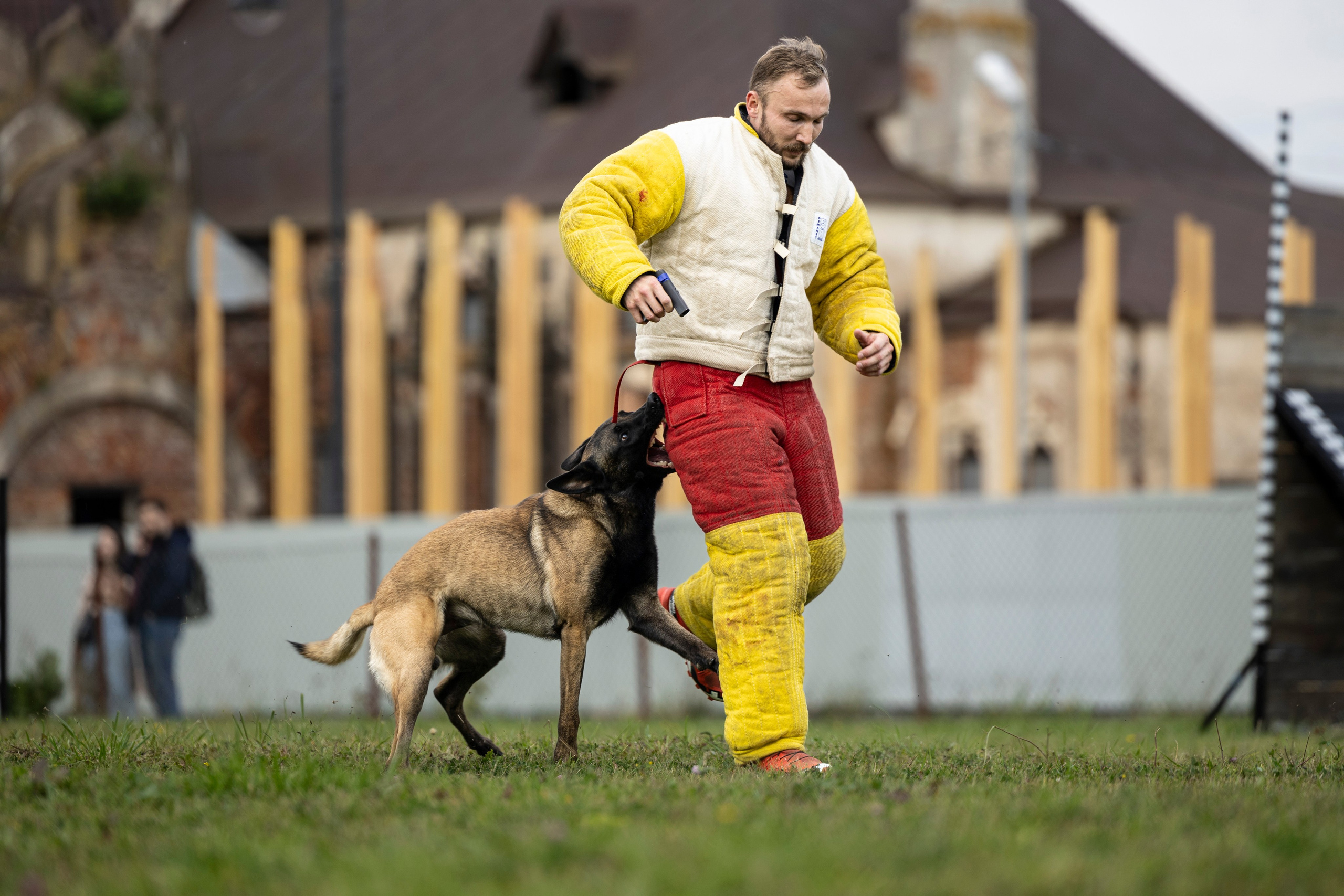 Испытания по Мондьорингу г. Пушкин. Фотограф-анималист Анна Маринич