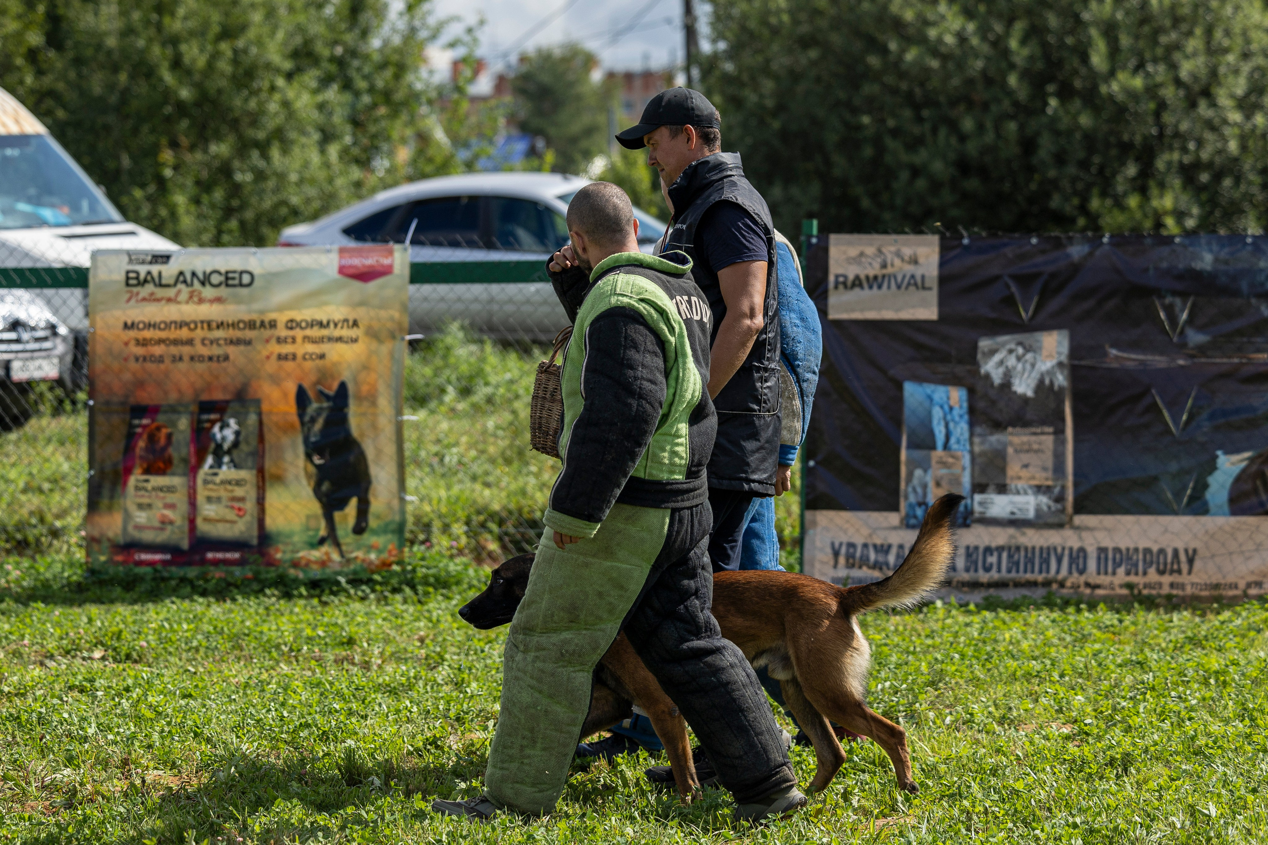 Соревнования по Мондьорингу г. Вологда 10-11.08.2024. Фотограф-анималист Анна Маринич