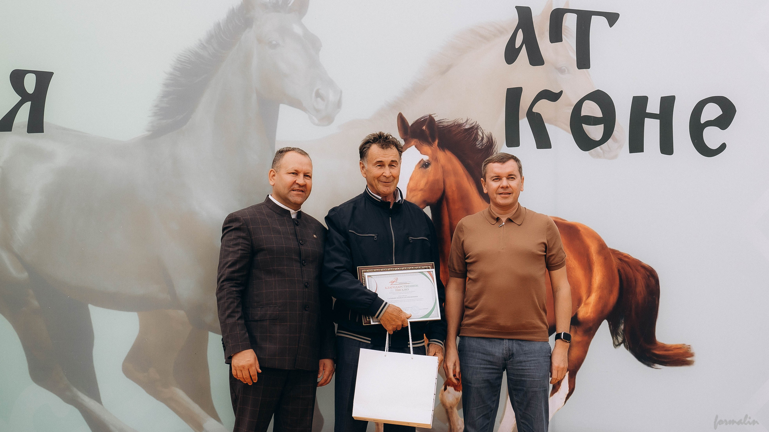 День Коня. Алиса Никитцова | Фотограф в Казани