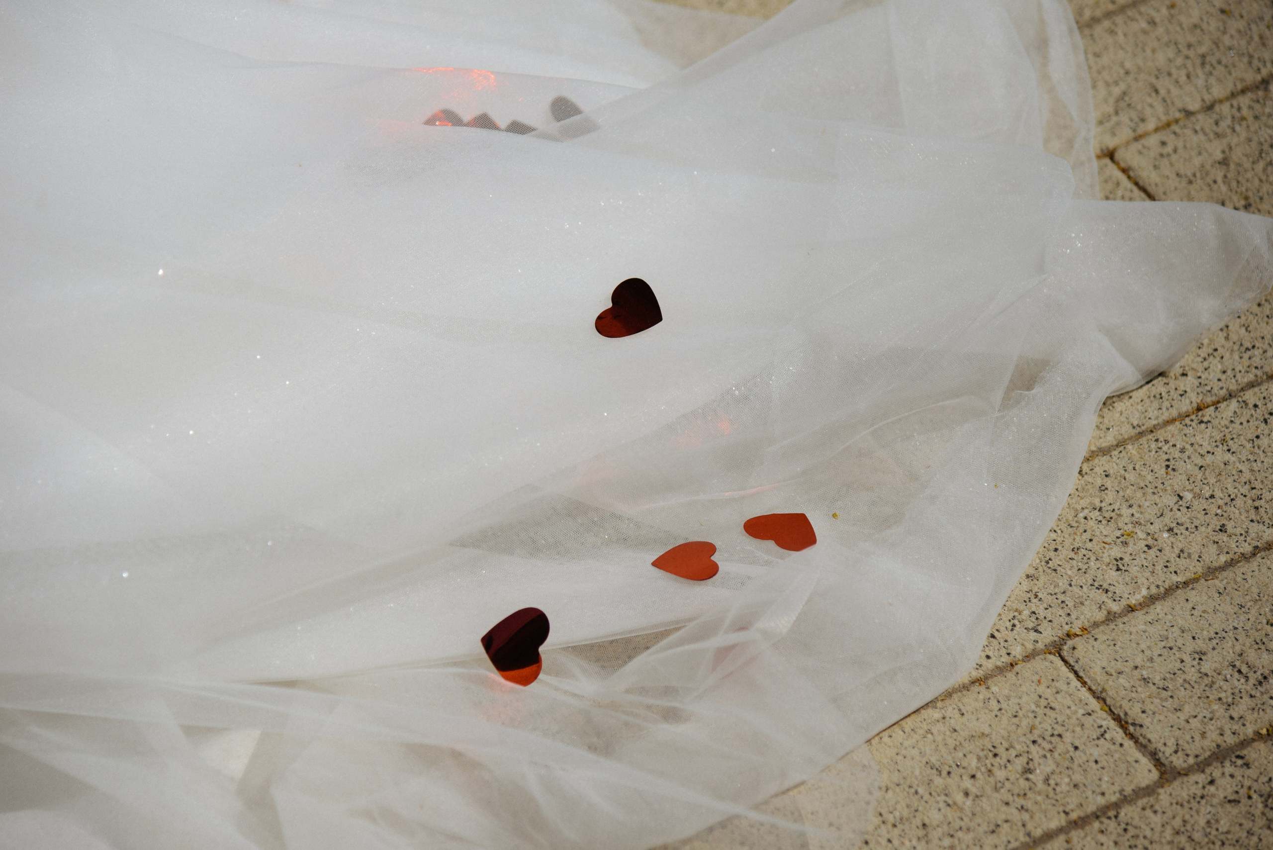 Про лес. Фотограф Лола Волна, город Москва