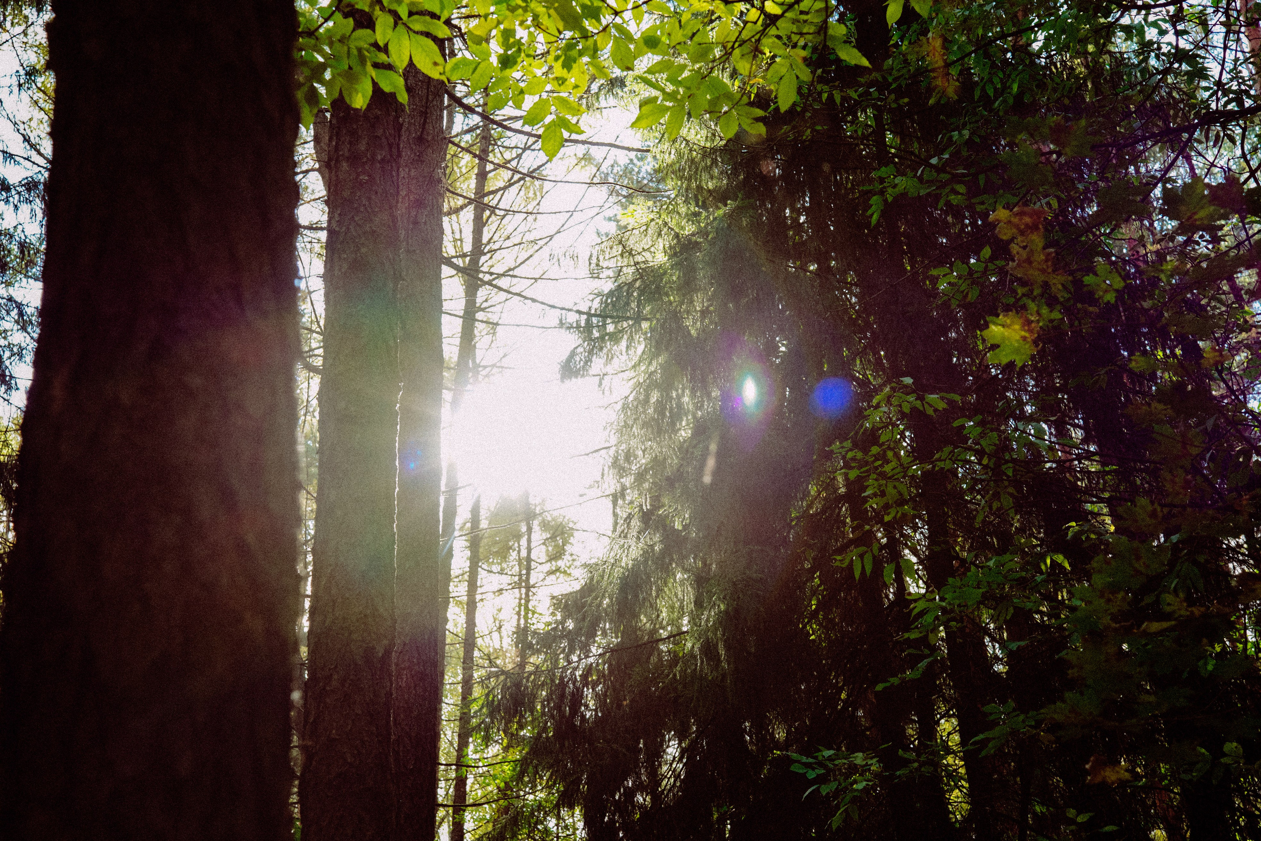 Осень 2025. Фотограф из Москвы — DASHA NOVA | Авторская фотография в разных жанрах