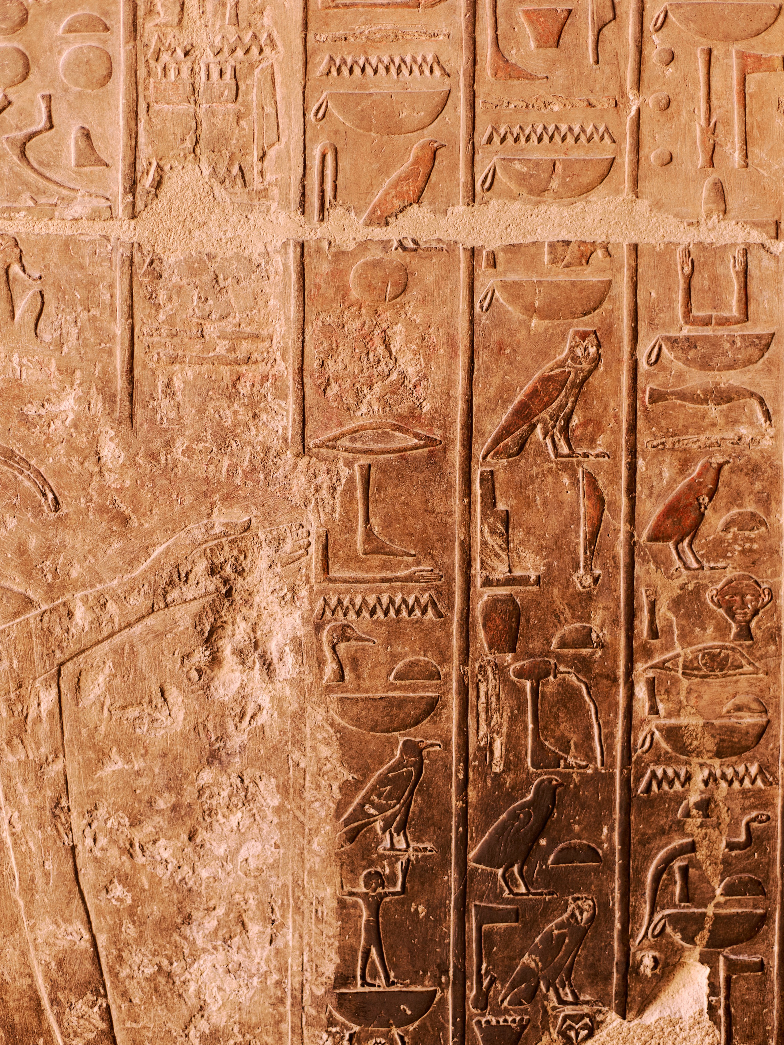 Другое 4. Jorgis — фотограф в Хургаде / обучение фотографии