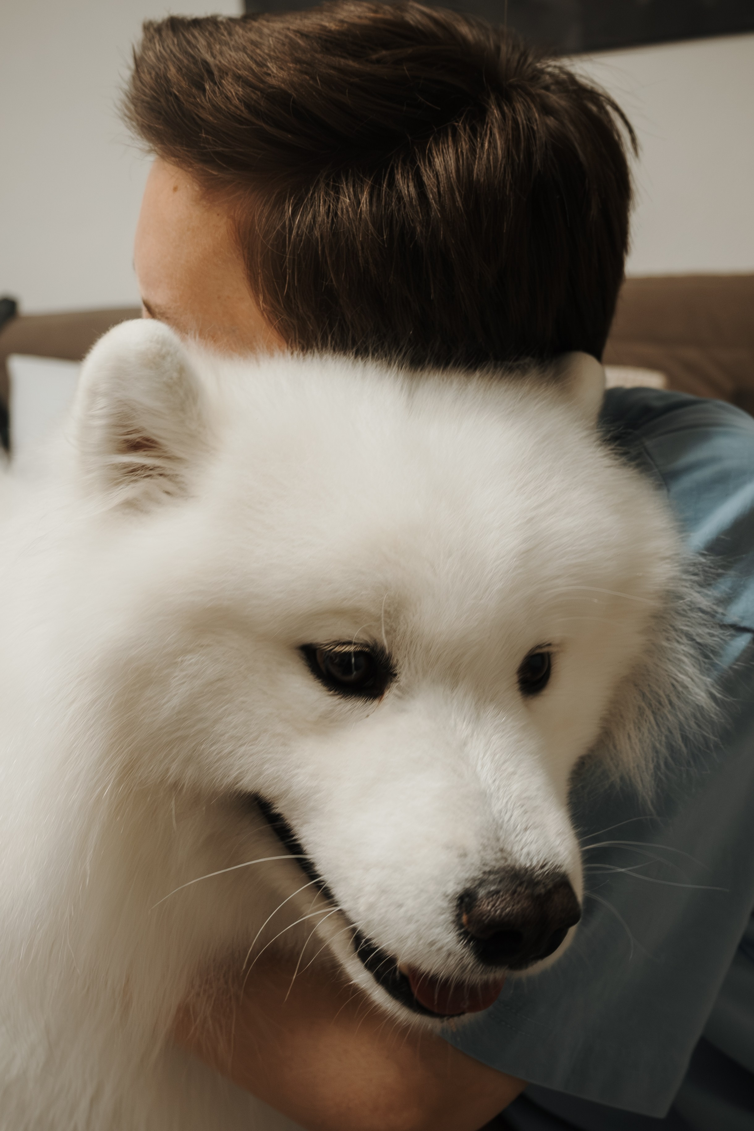 Домашняя фотосессия девушки с собакой и пара фото в дождливый день. Фотограф-анималист в Москве Екатерина Тихонова