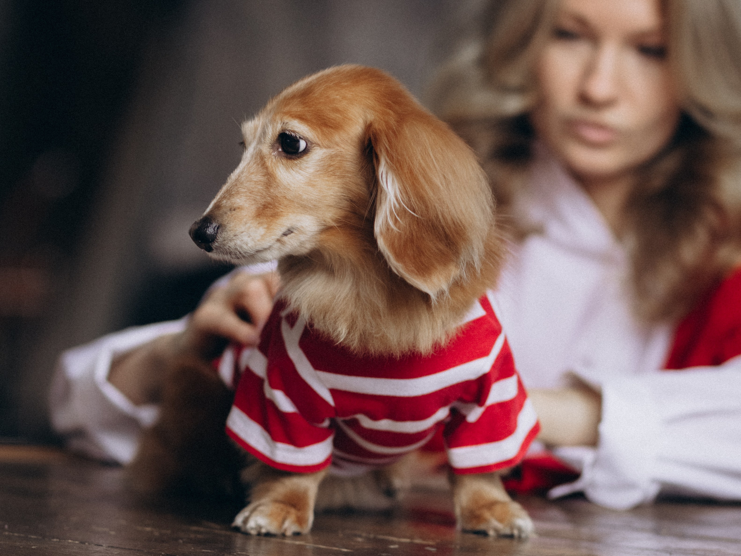 Лимон и Аня. Фотограф-анималист в Москве Кириллова Татьяна