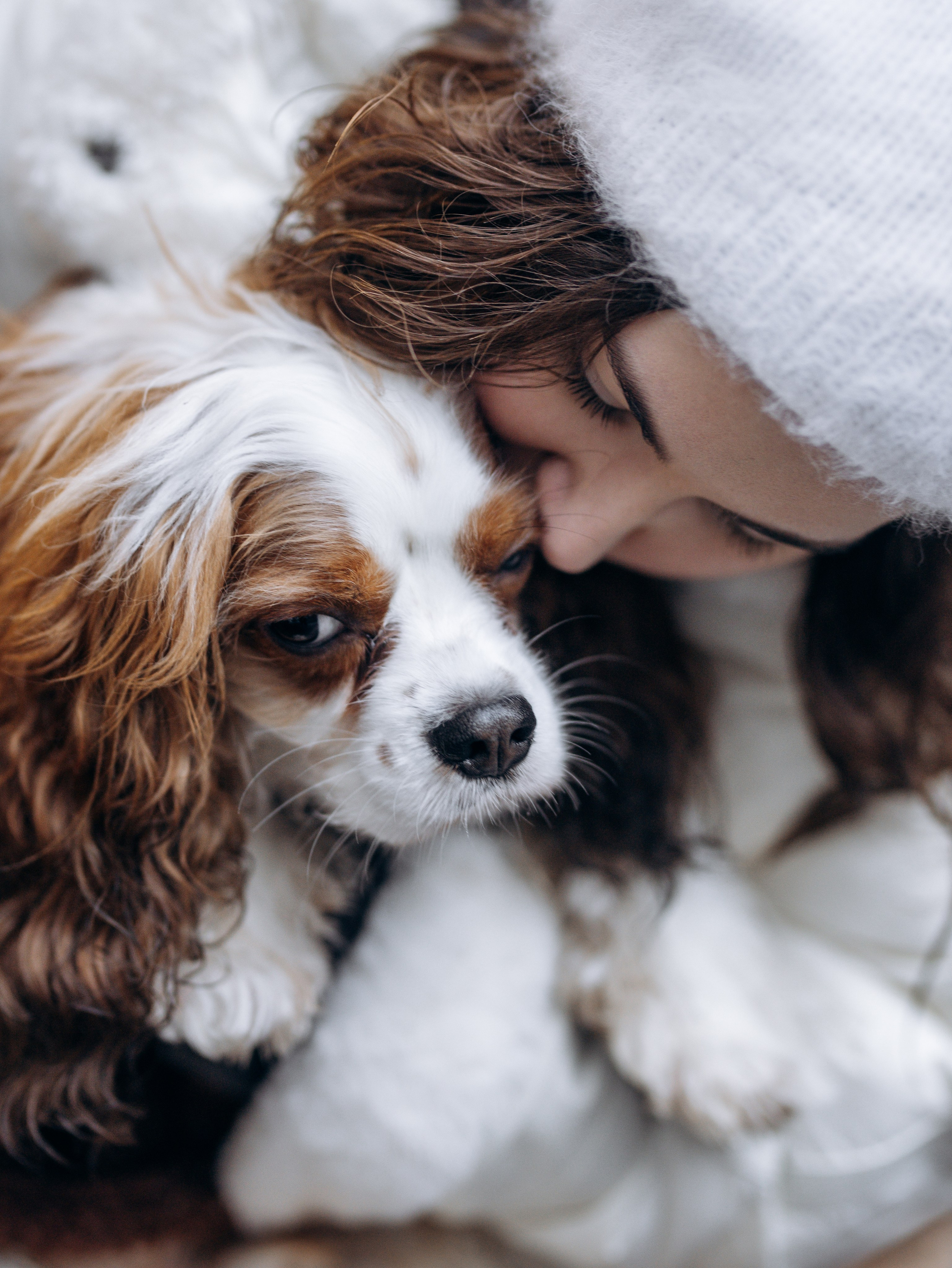 Портфолио. Фотограф-анималист в Москве Кириллова Татьяна