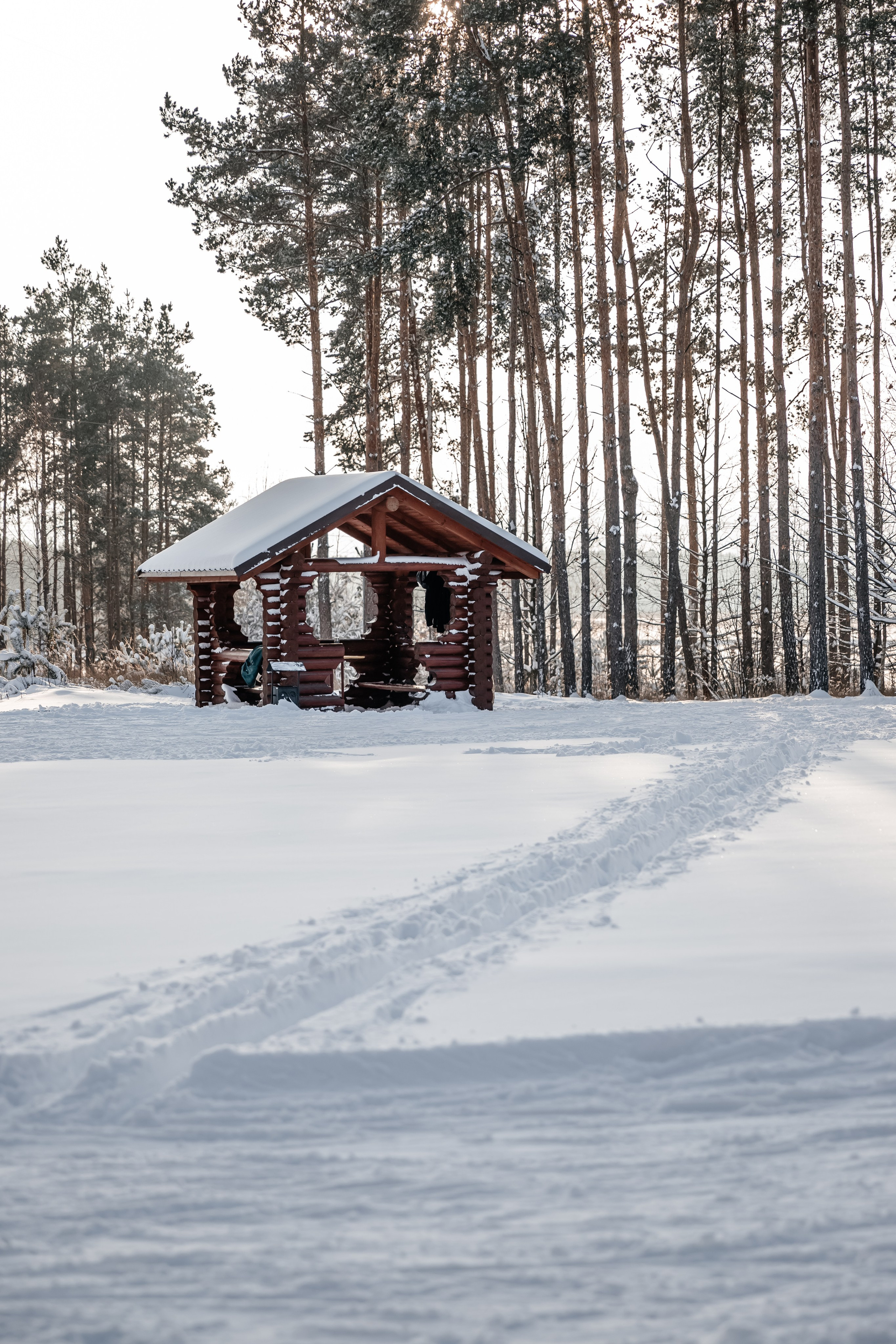 Катя и Полина. Семейный и свадебный фотограф Минск, Барановичи Ольга Пахомова