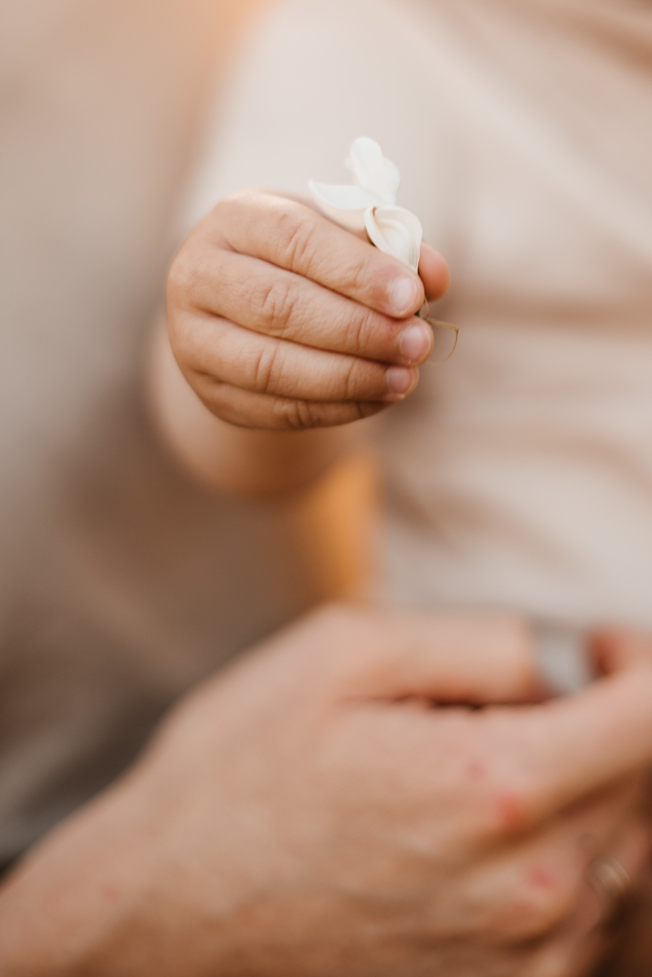 Мия Маша Миша. Свадебный и семейный фотограф в Белгороде