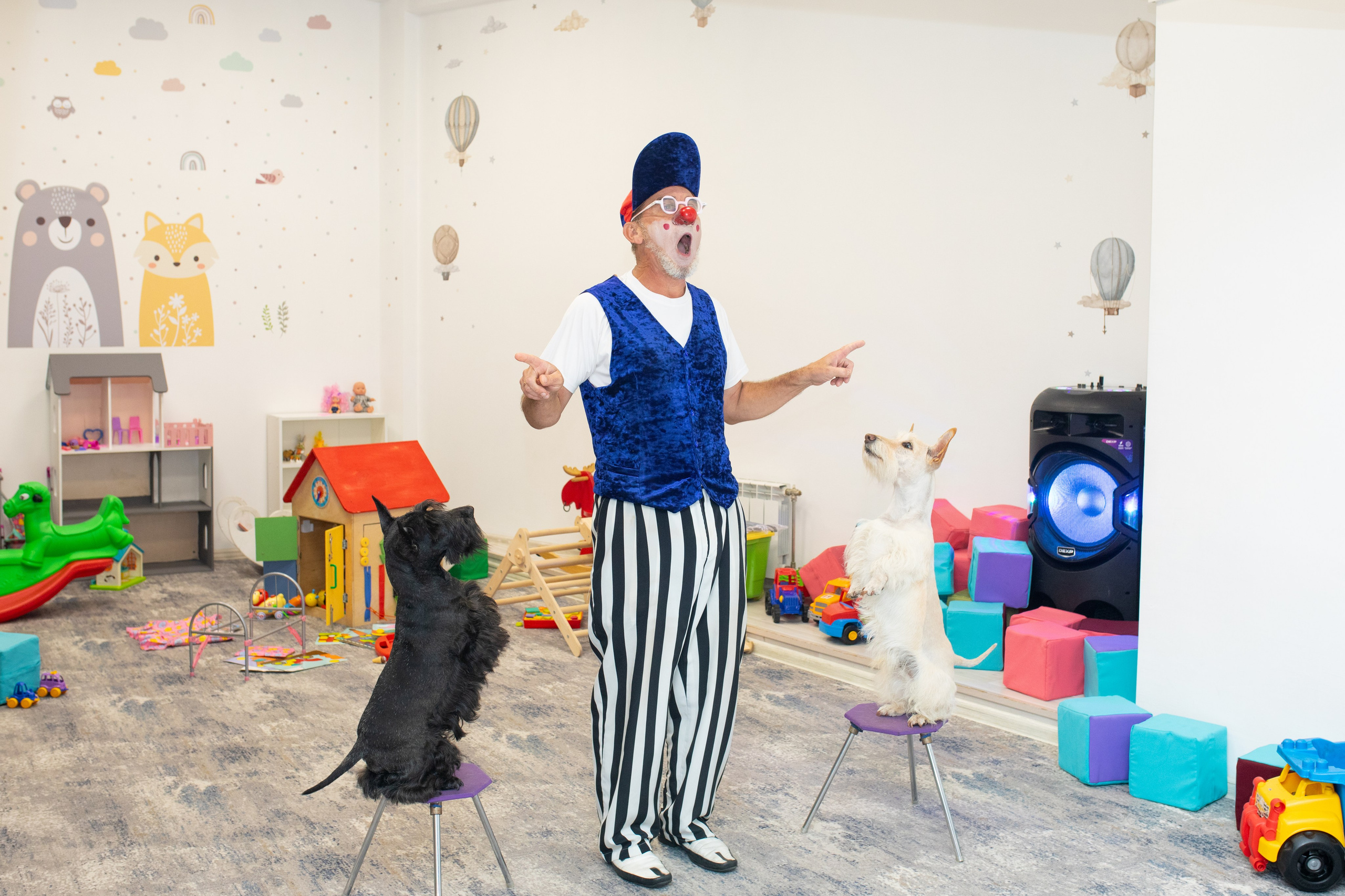 Улыбника. Фотограф в Новосибирске Ася Зверева