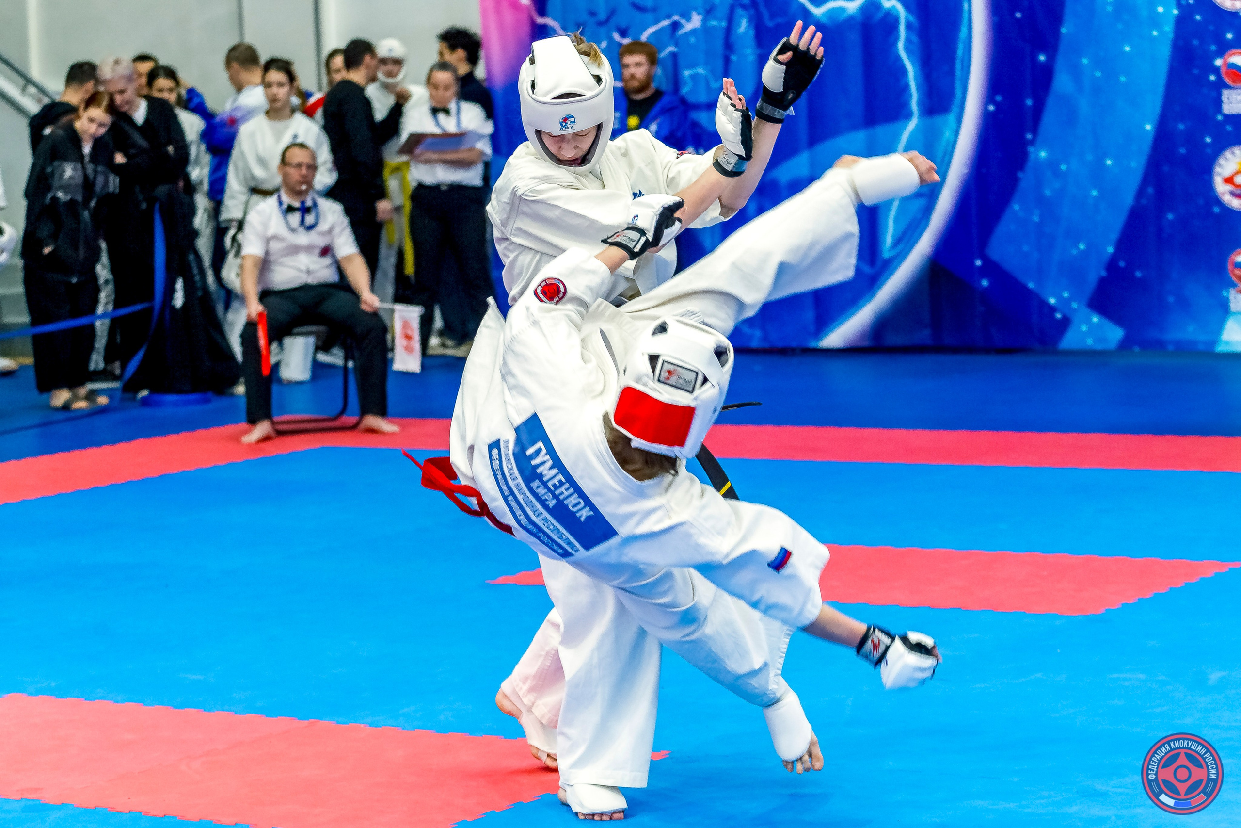 Международный турнир по киокушин «Открытый кубок Seiken». Репортажная съемка в Москве и области. Анималистика