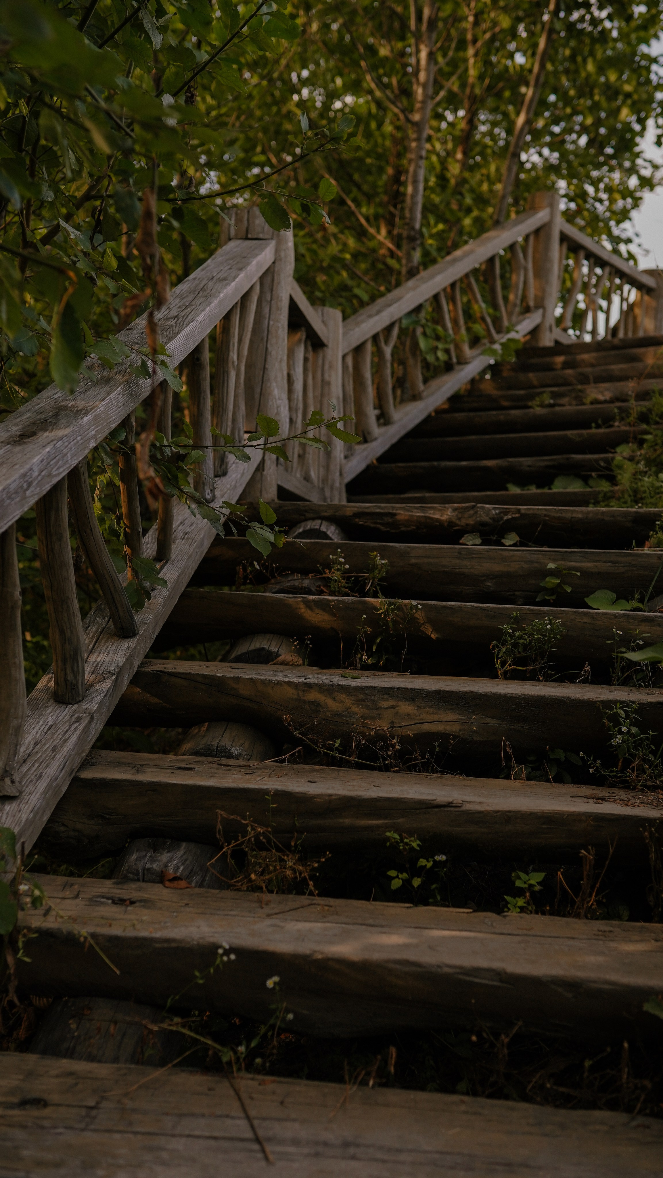 «Коготь». Милана Довгаль - семейный фотограф и видеограф  в Адлере и Сочи