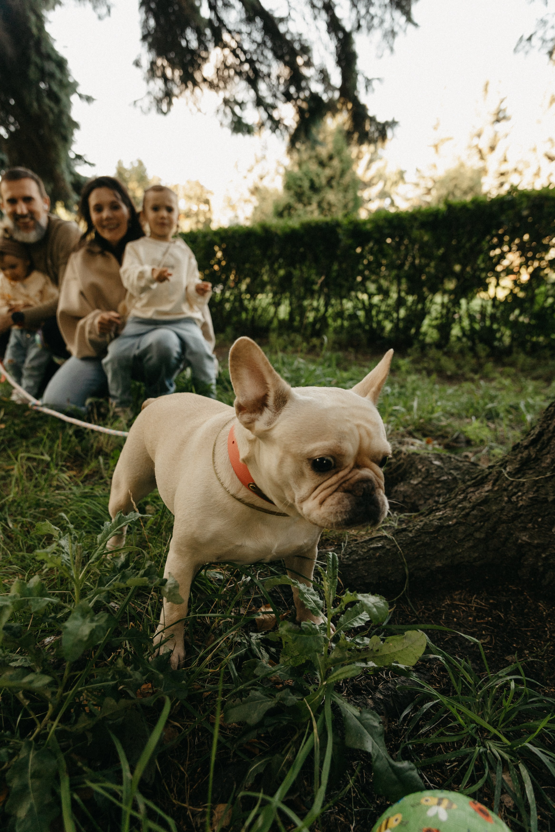 Таня, Миша, Зоя, Нина. Главная