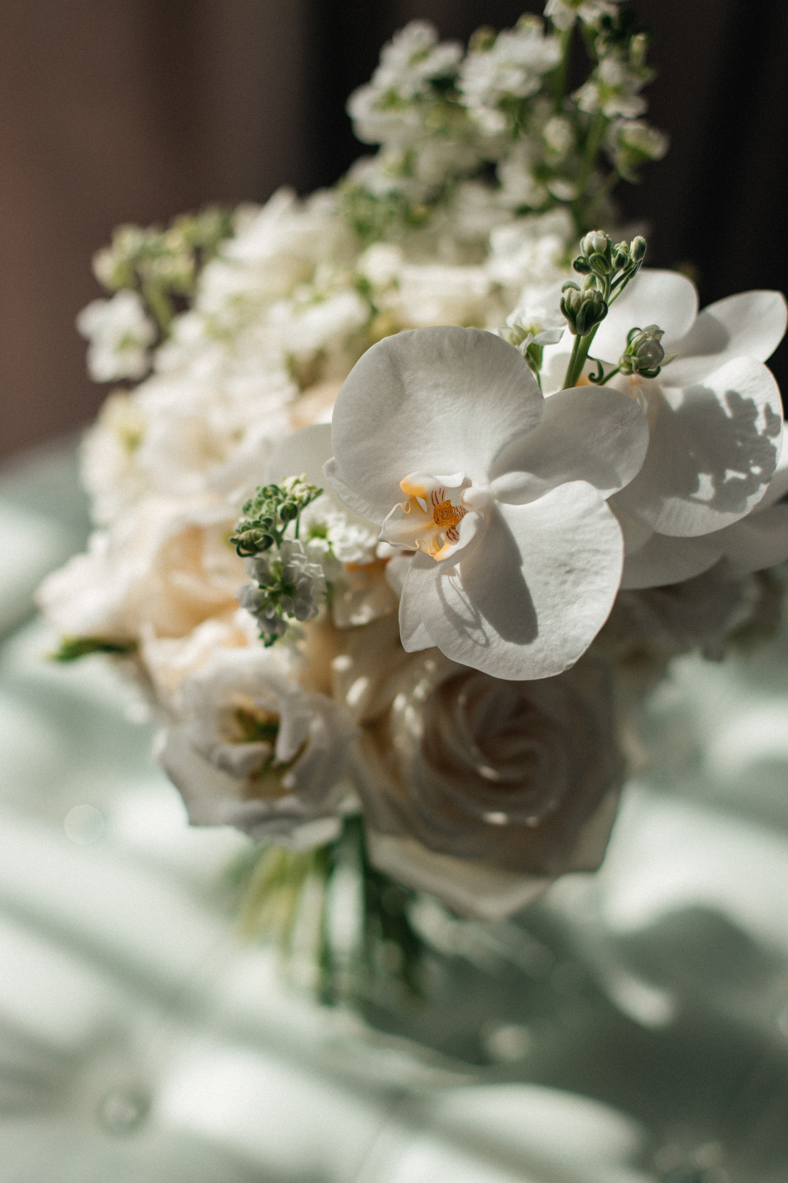 Pavel and Yana. Свадебный фотограф и видеограф