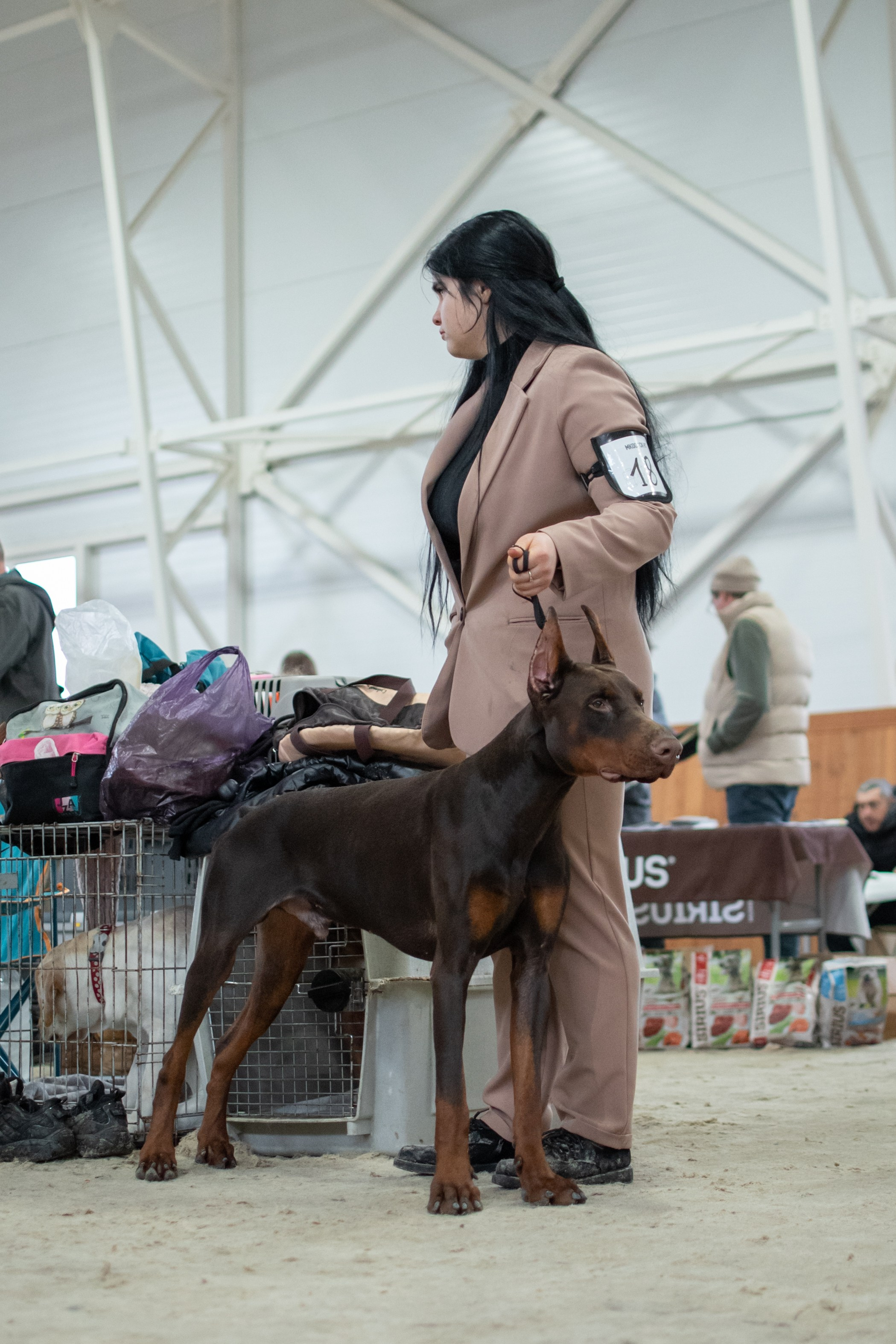 Выставки и дрессировка. Фотограф анималист в Ростове I Гончарова Анна