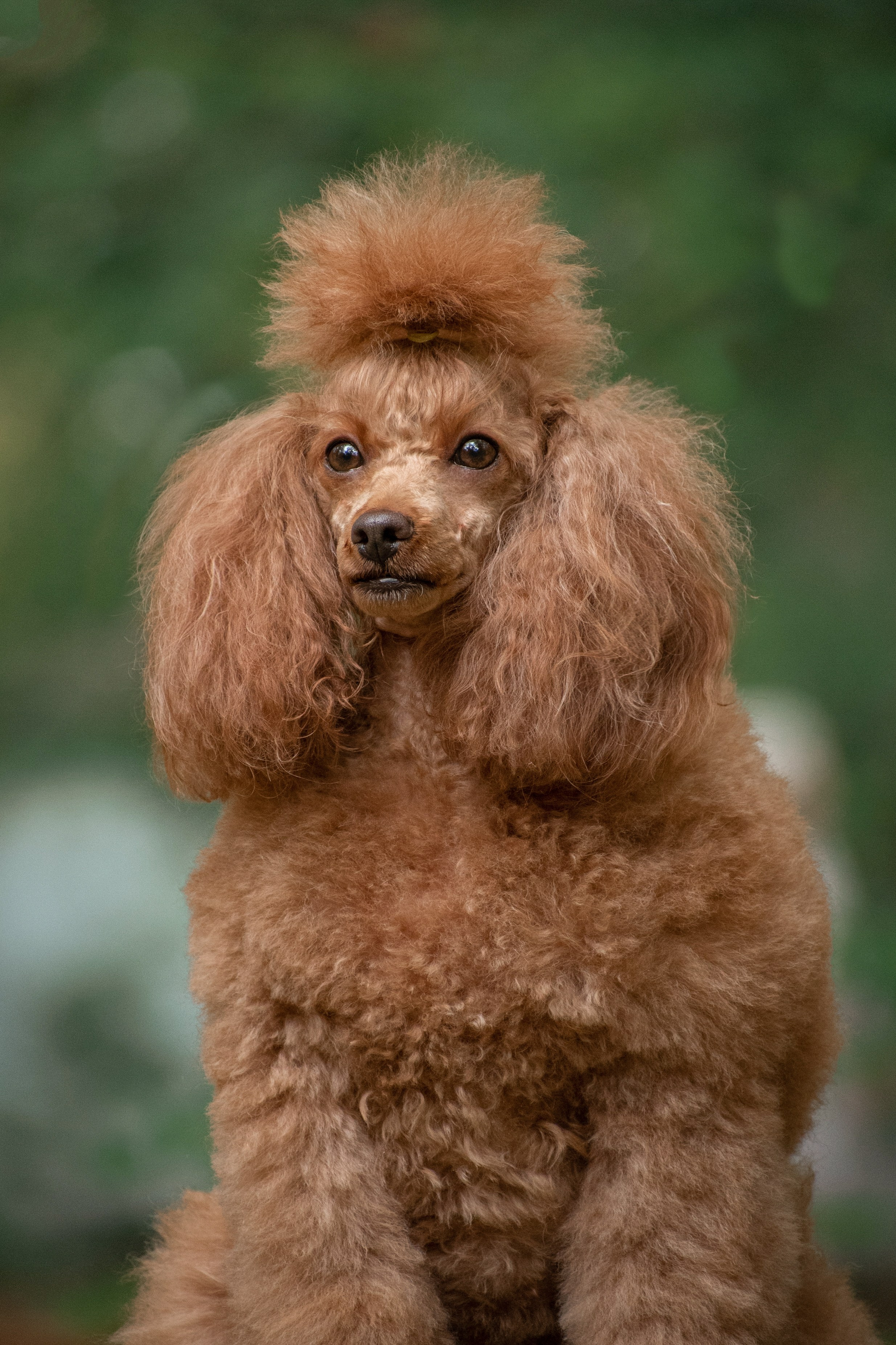 Фотопрогулки. Фотограф анималист в Ростове I Гончарова Анна