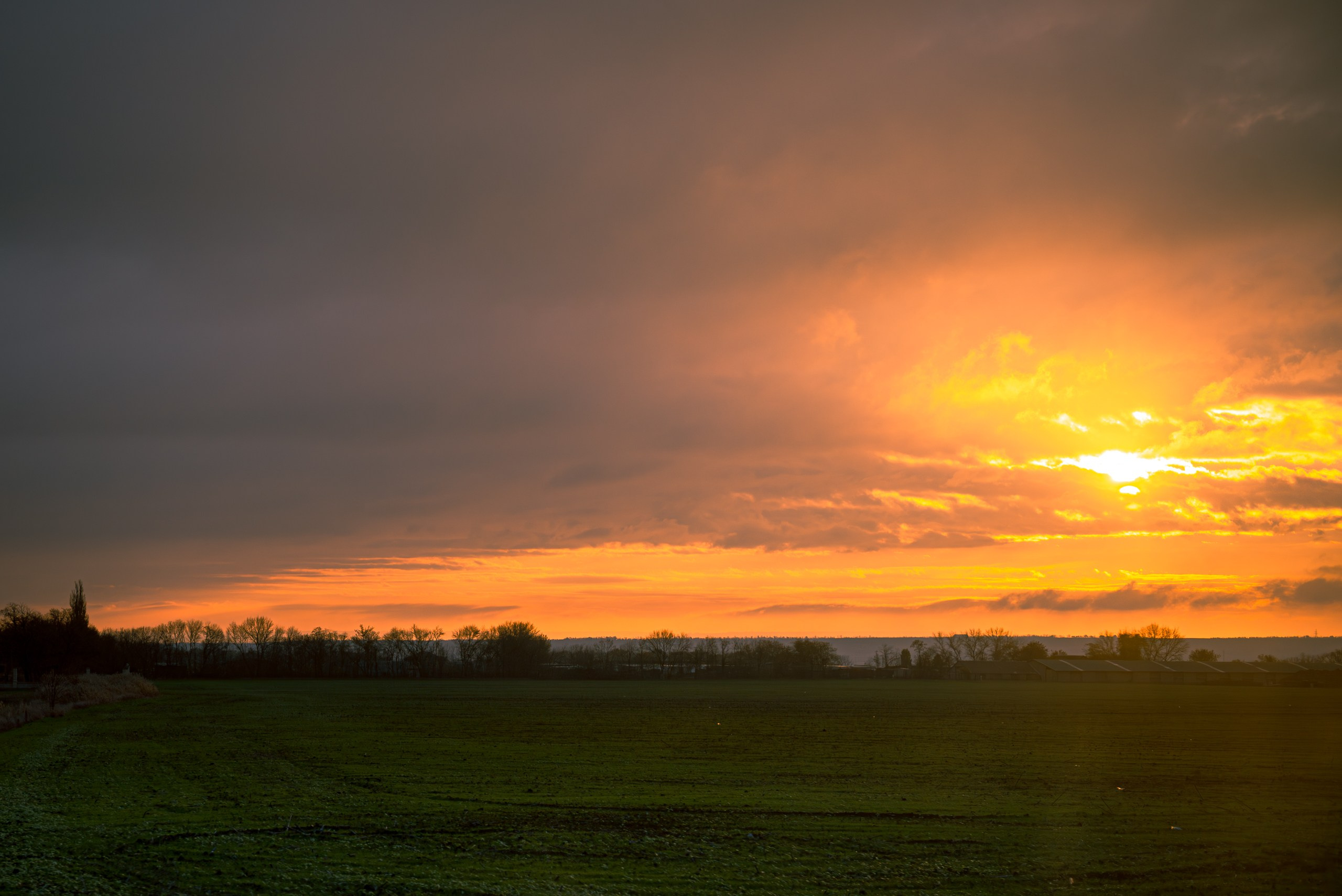 Street. ФОТОГРАФ ИВАН НОВИКОВ | СТАВРОПОЛЬ