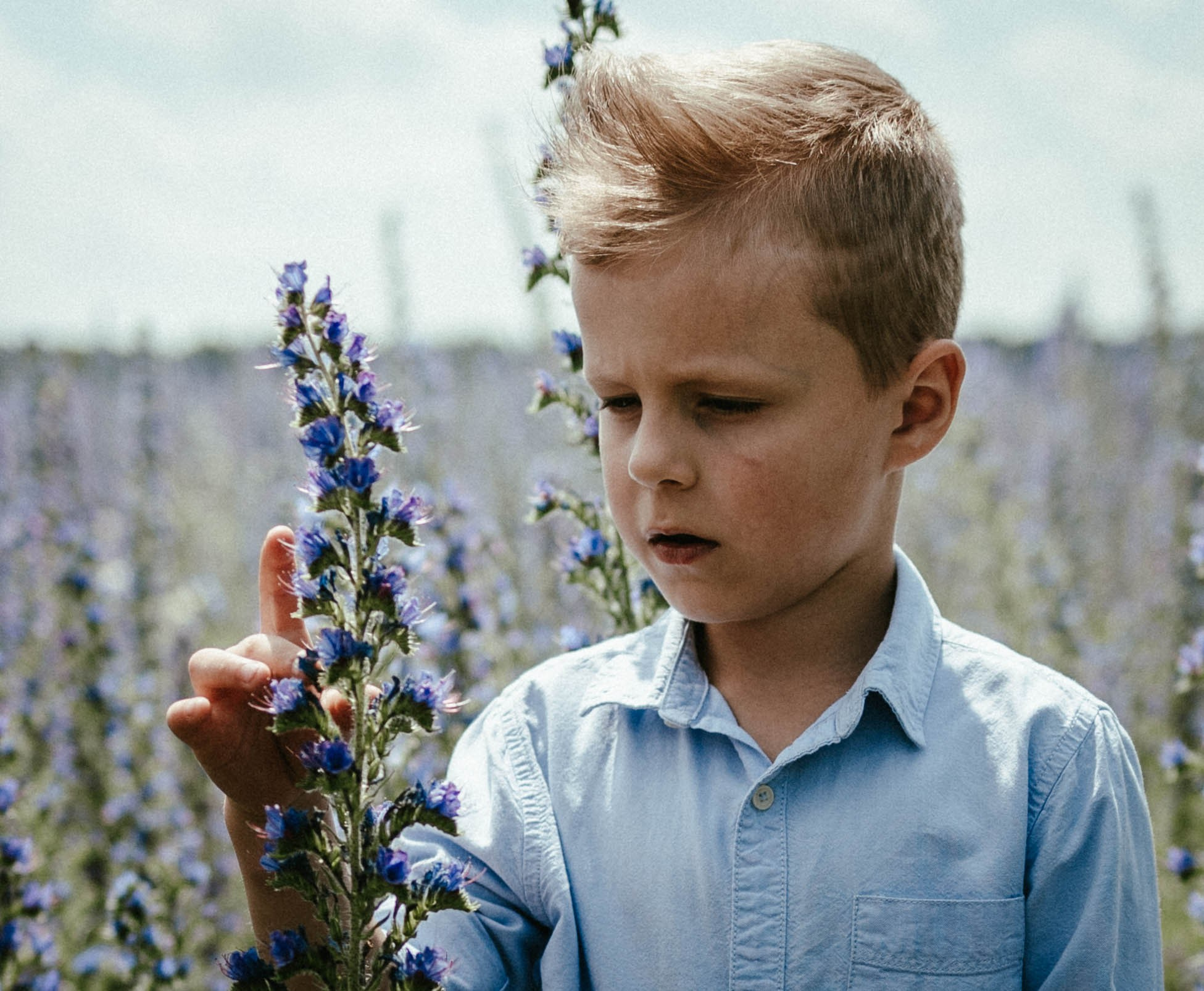 В ожидании чуда Алёна & Сергей, дети и собака. Коммерческий фотограф