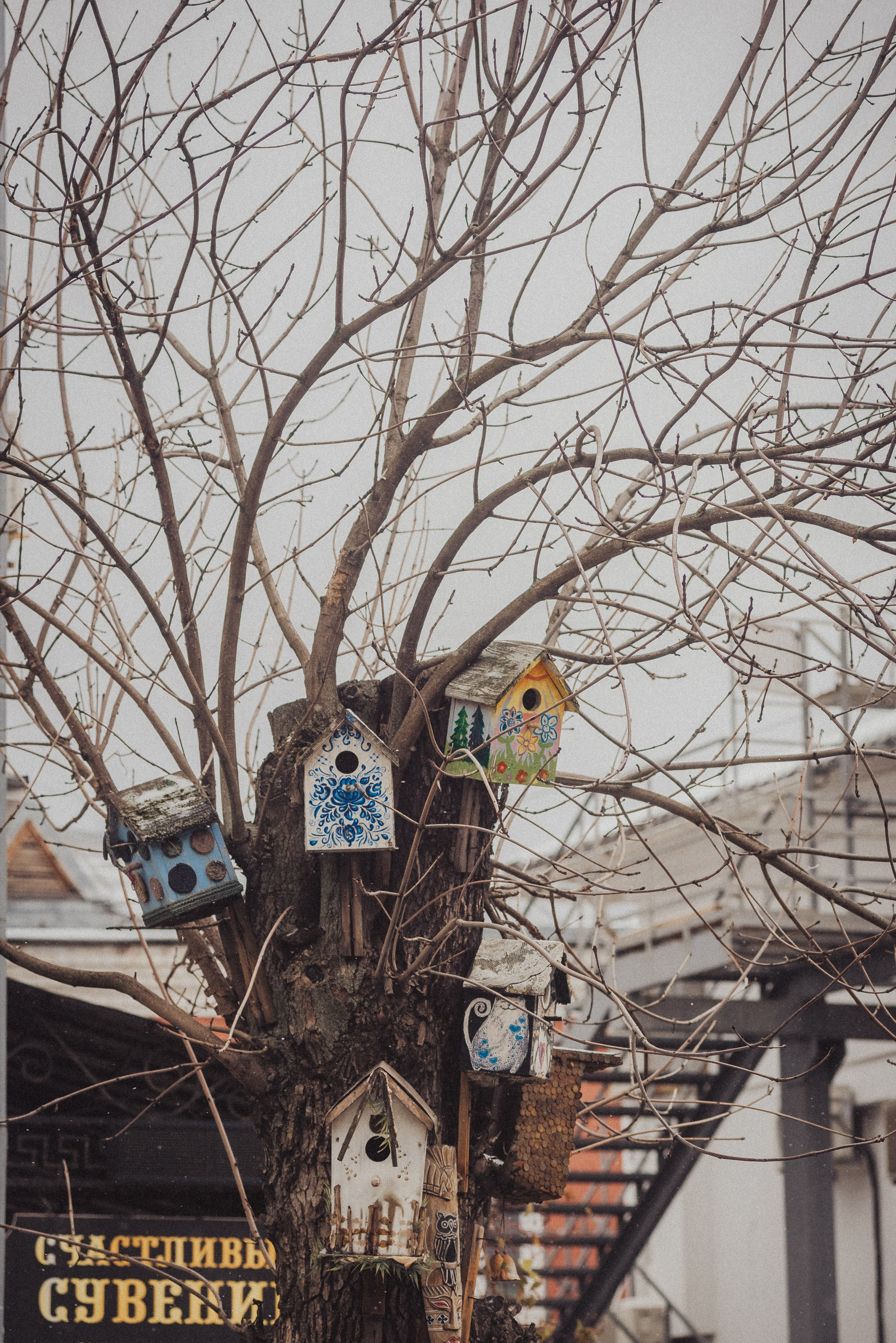 Проект #улицыгорода. Ярославль, площадь Челюскинцев. Документальный фотограф Илья Тихановский