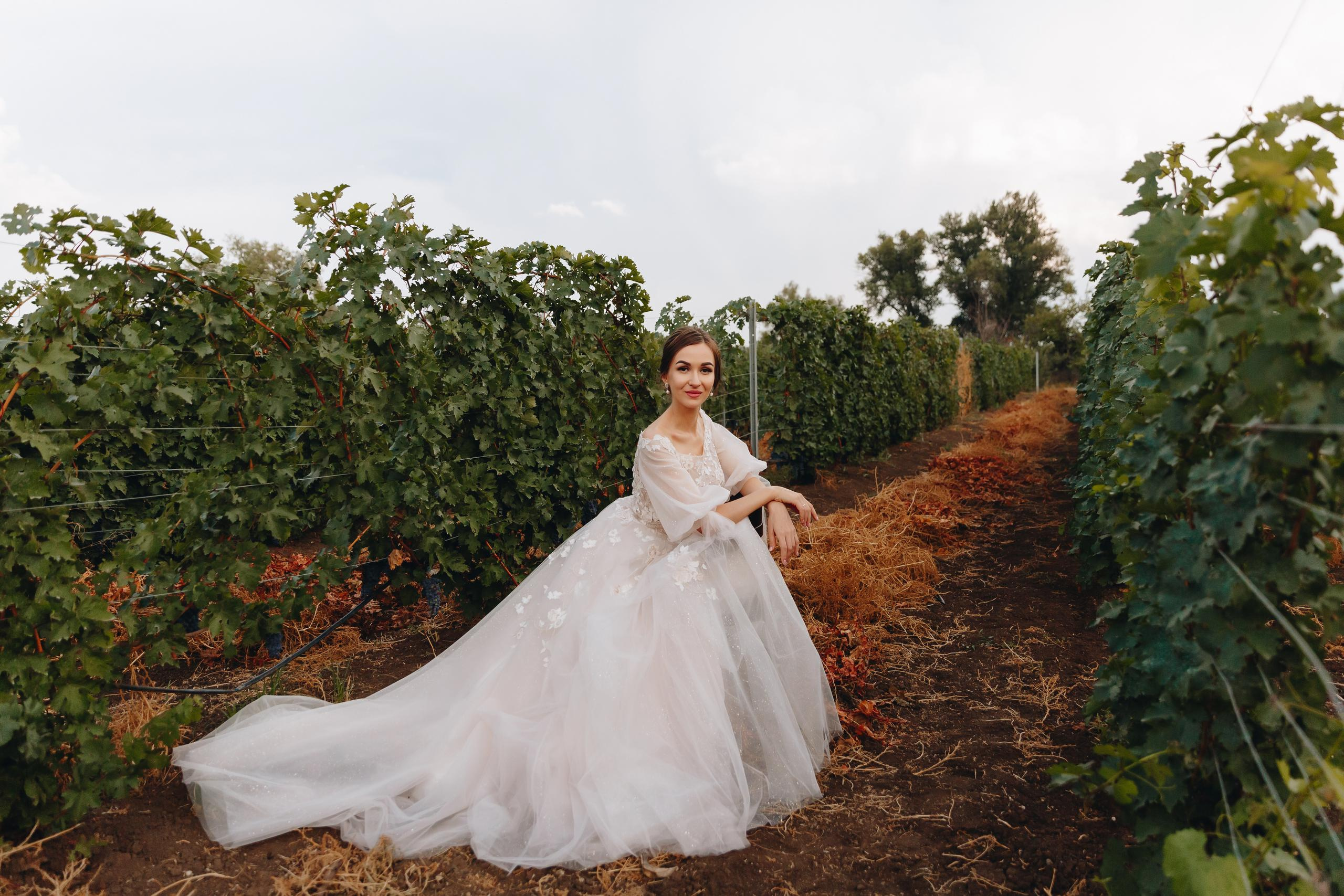 Алиса и Олег. Свадебный и семейный фотограф