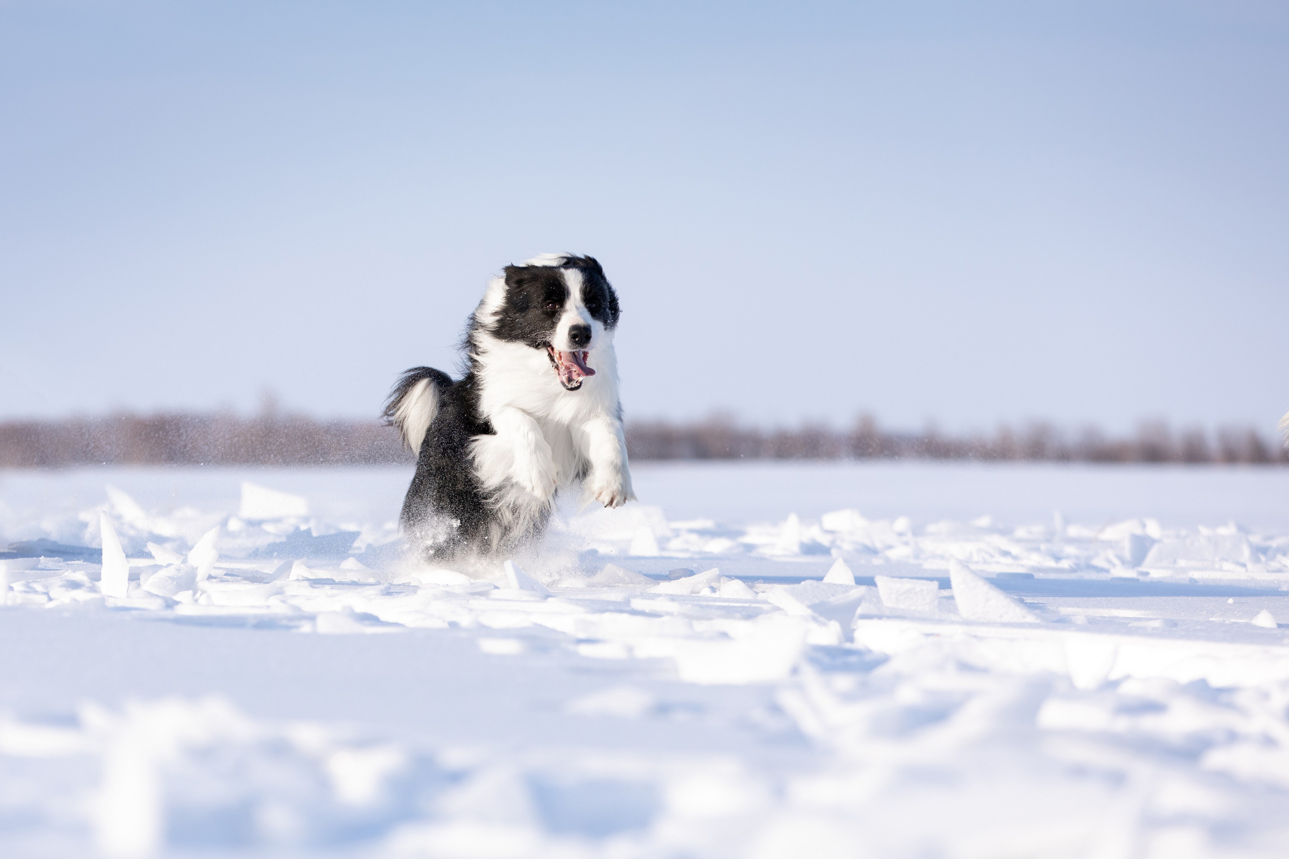 Мороз и солнце. О нас