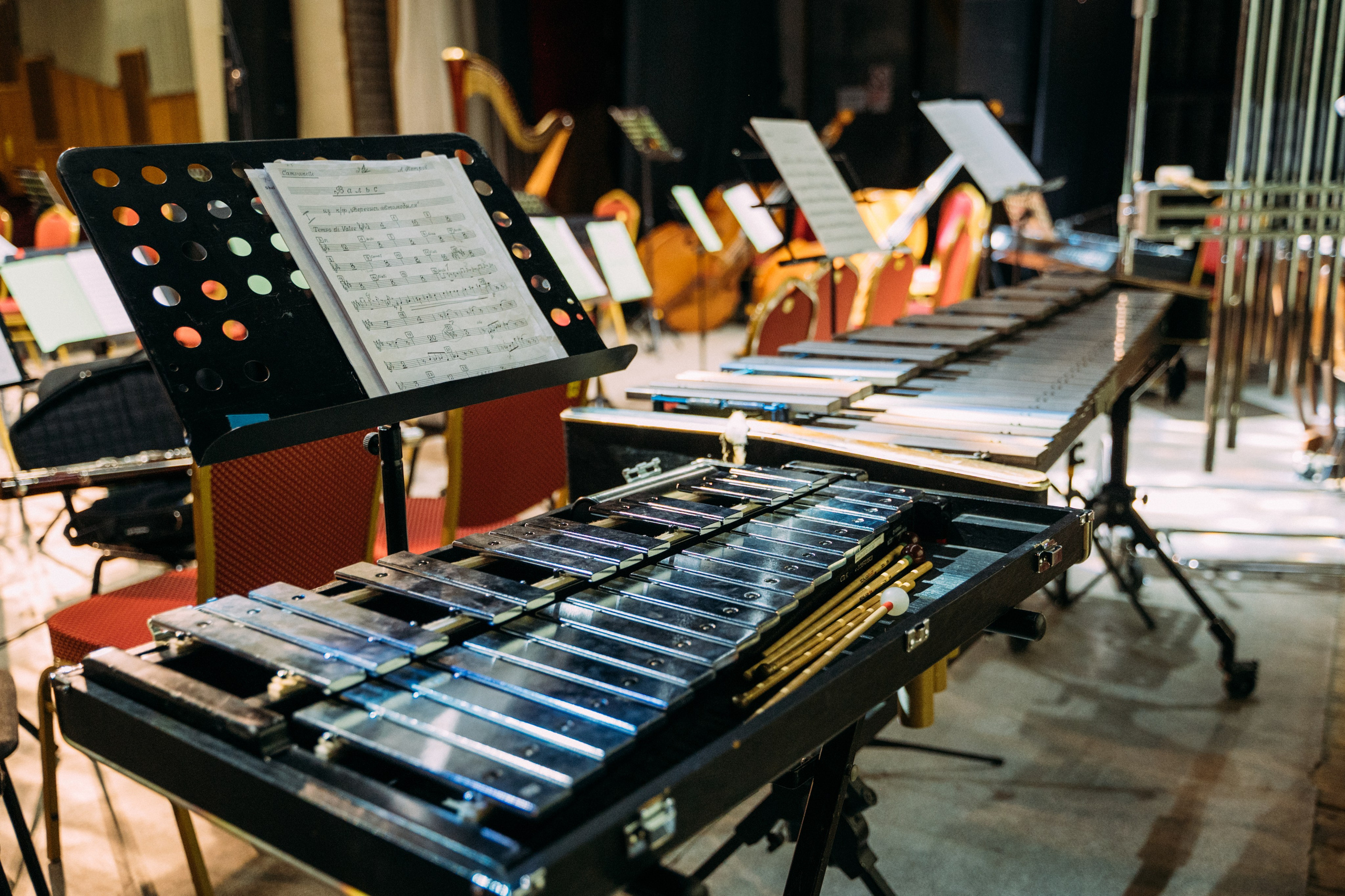 Симфонический оркестр. Фотограф в Волгограде Марина Черных